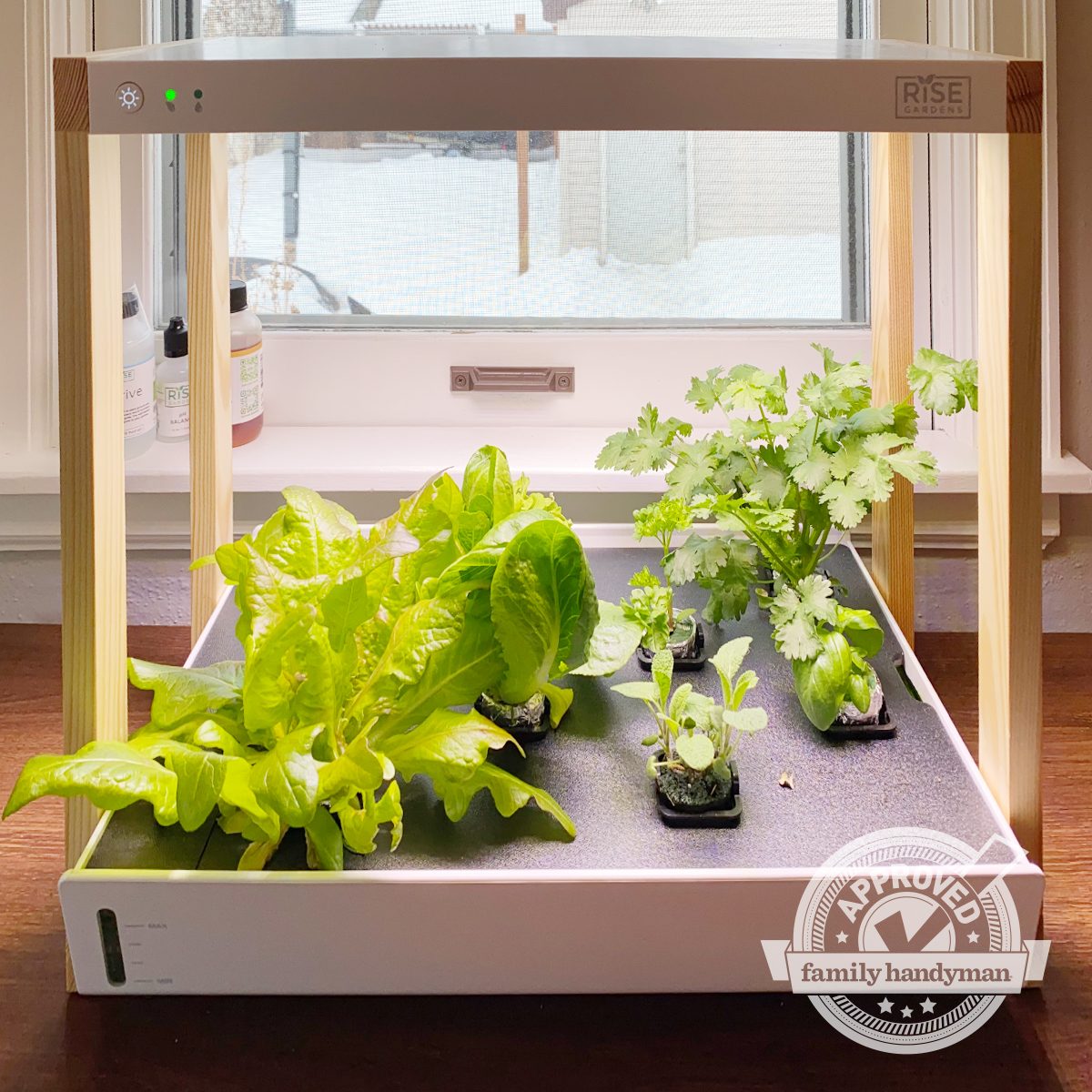 Family Handyman Rise Personal Indoor Garden Growth