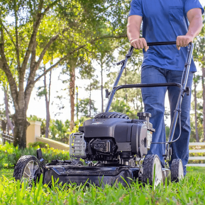 The Best Gas Lawn Mowers for 2024 The Family Handyman