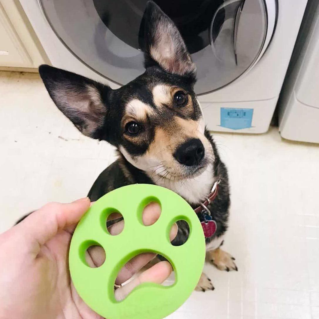 Never deal with hairy clothes again! Simply throw our laundry pet hair, laundry pet hair catcher