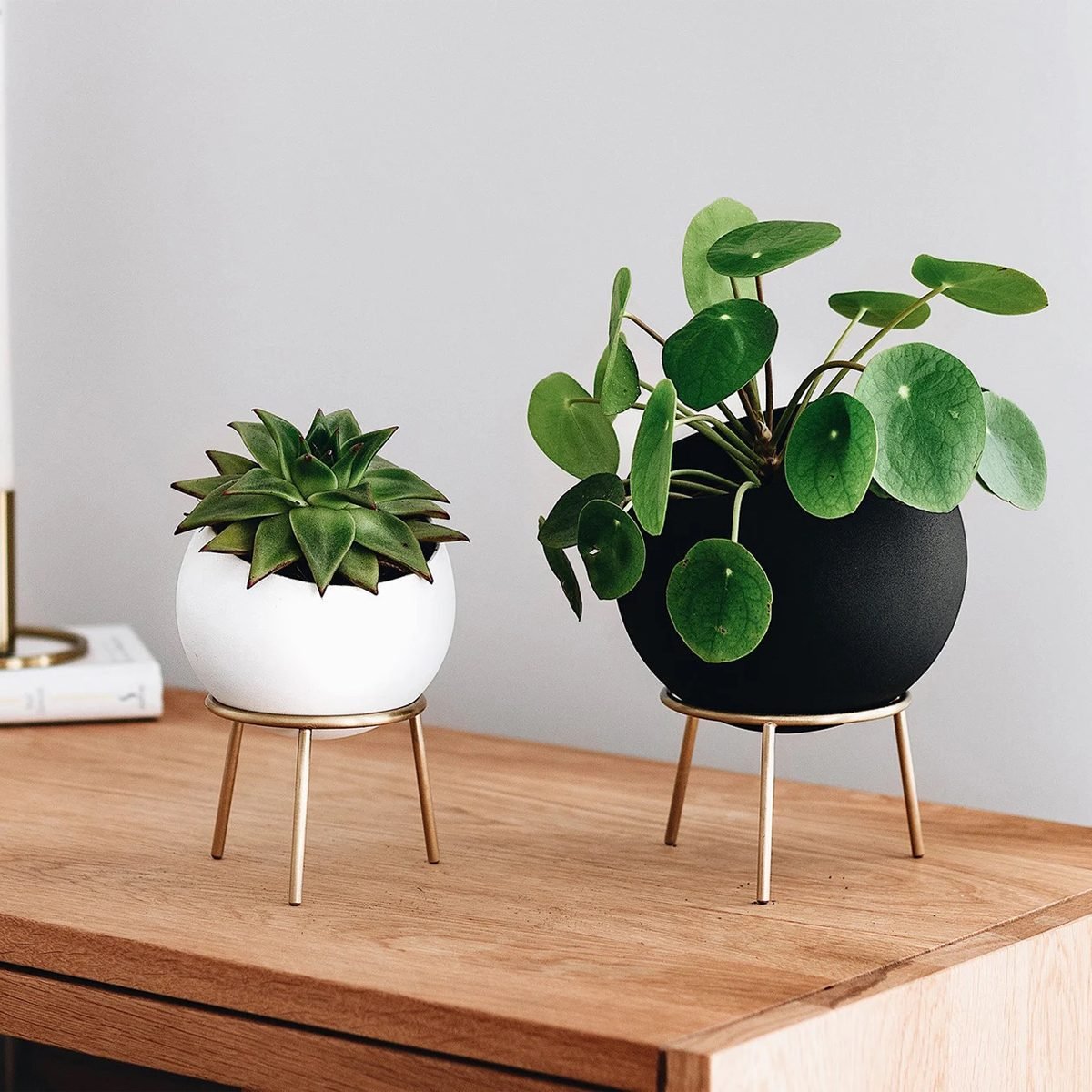 Stylish Buy and DIY Indoor Plant Stands To Elevate Your Green Space
