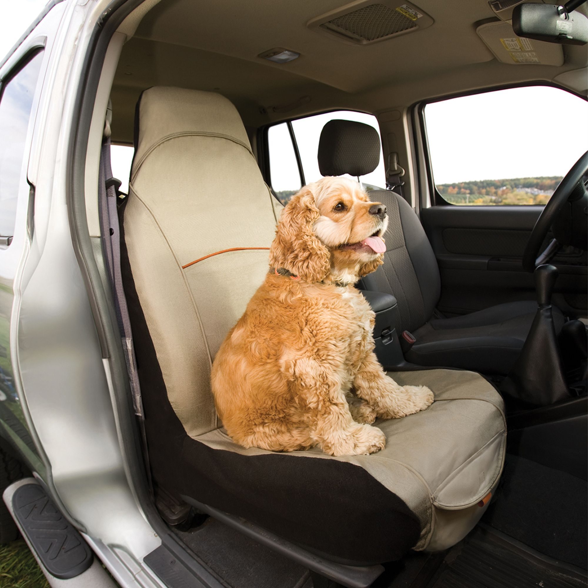 8 Best Dog Car Seat Covers for Easier Cleaning