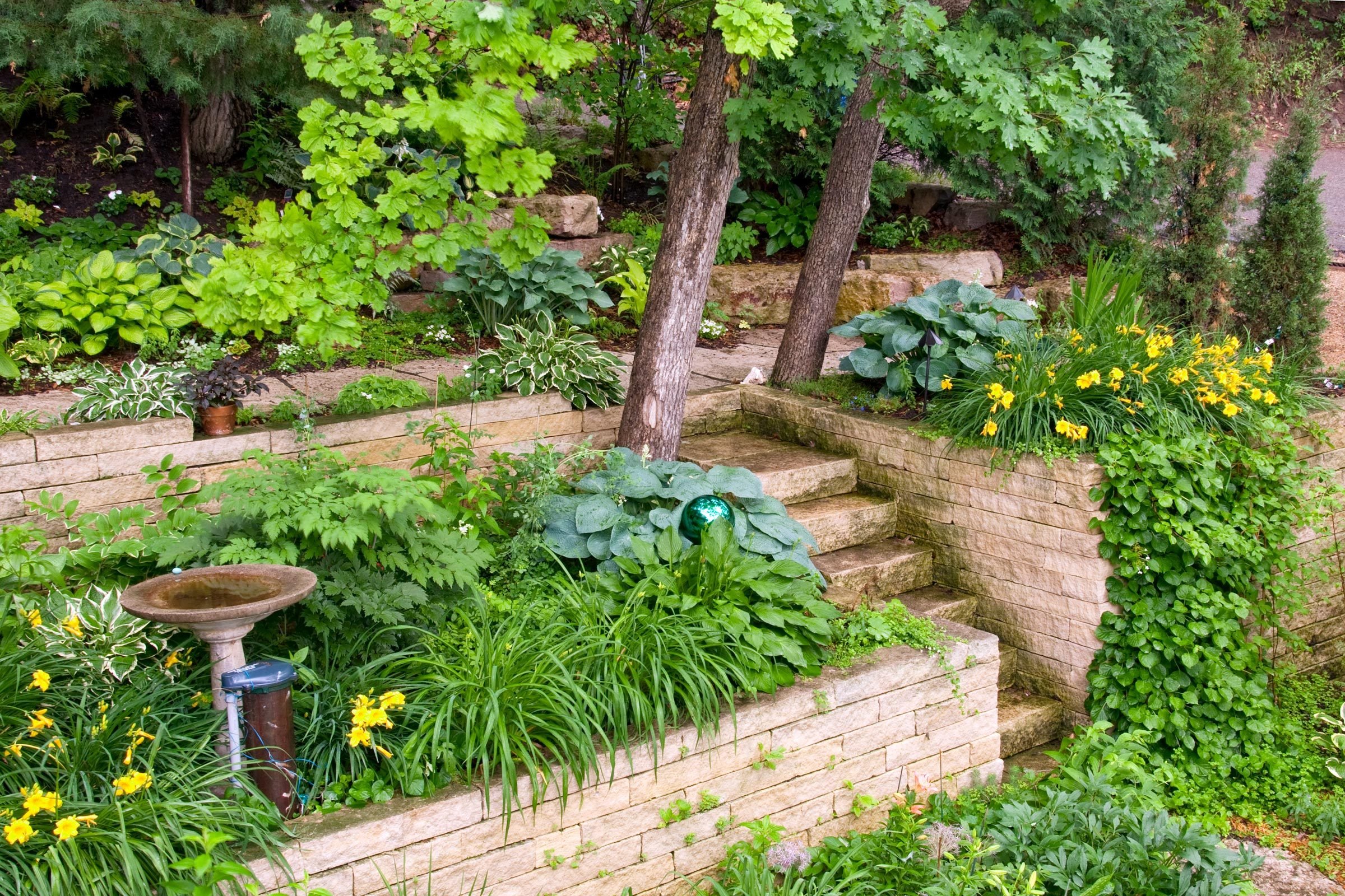 12 Best Shade Perennials That Won't Take Over Your Garden
