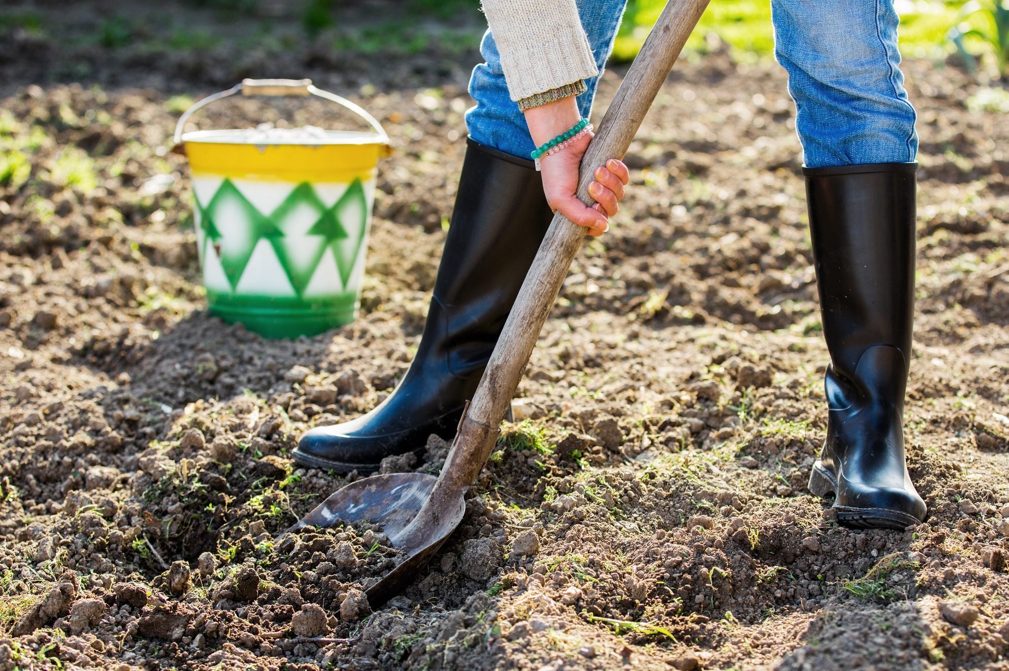 What To Know About Leveling a Yard