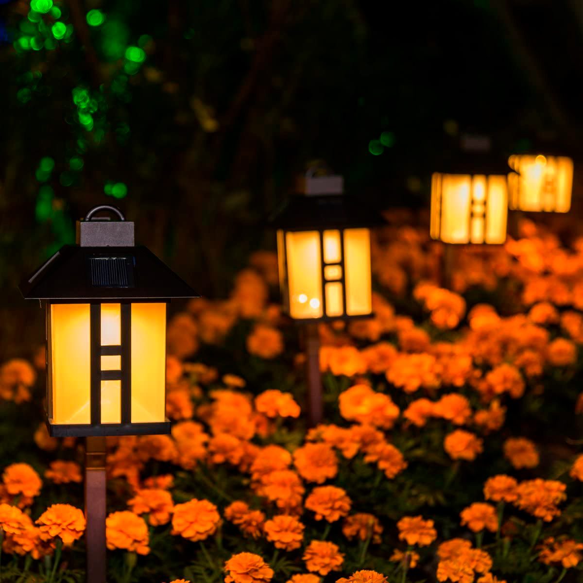 8 Best Solar Path Lights