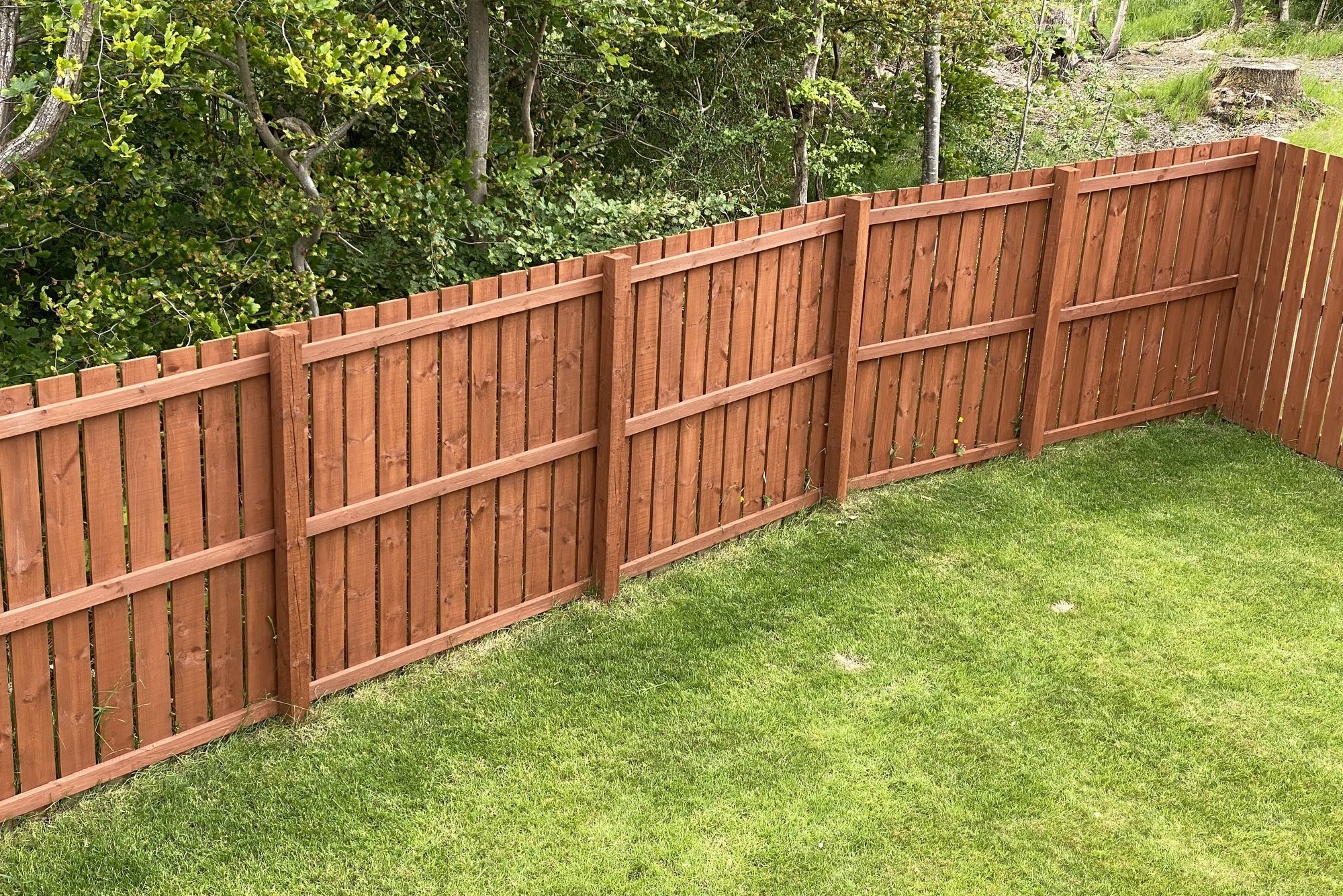 a cheap way to fix fence to keep dogs in