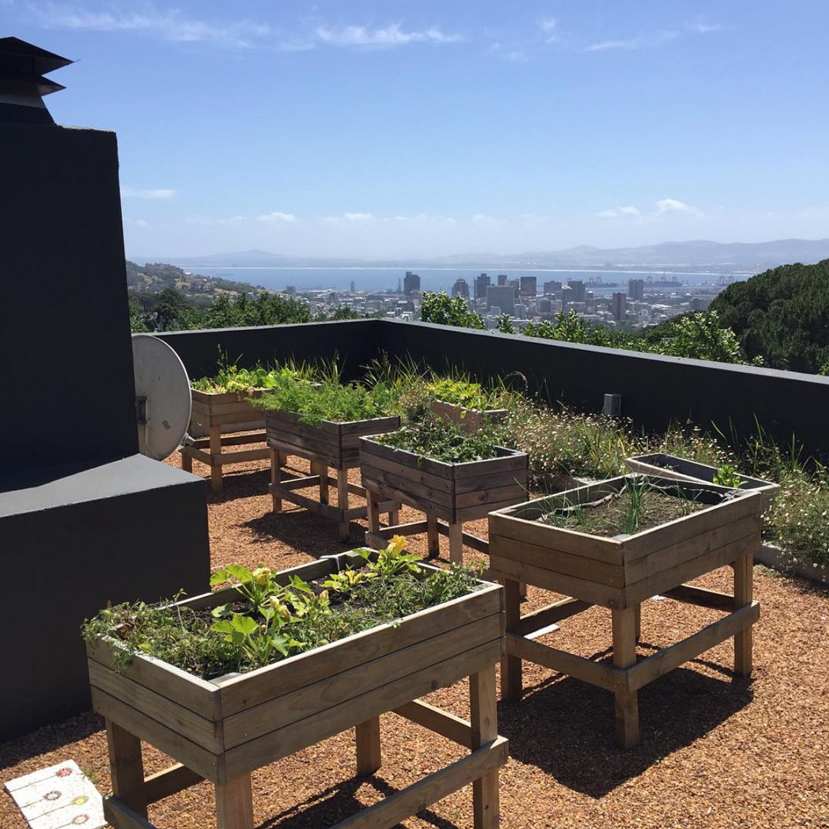 Vegetable Garden Ideas – Forbes Home
