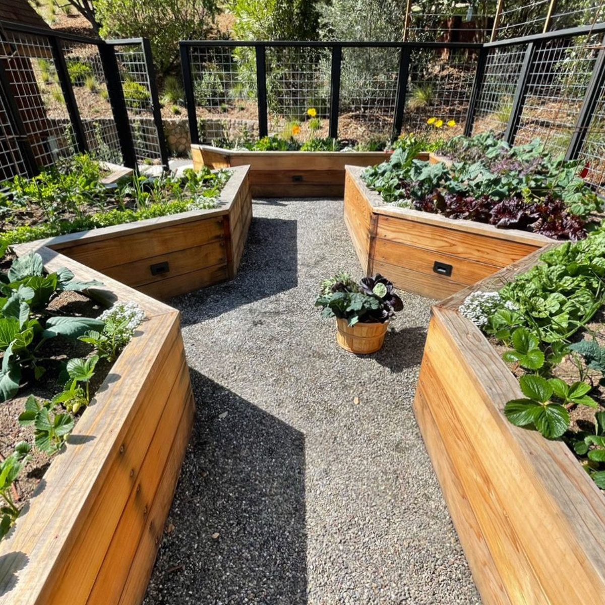 unique vegetable garden ideas