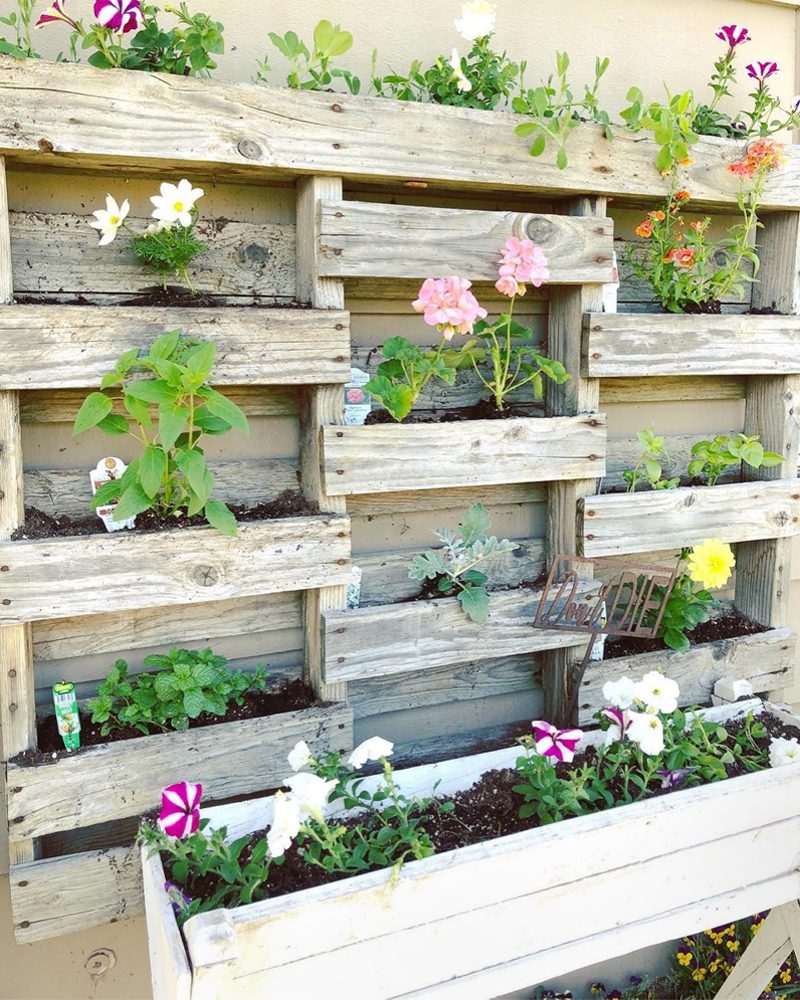 Affordable Vertical Garden Courtesy @kalakleindesigns Via Instagram