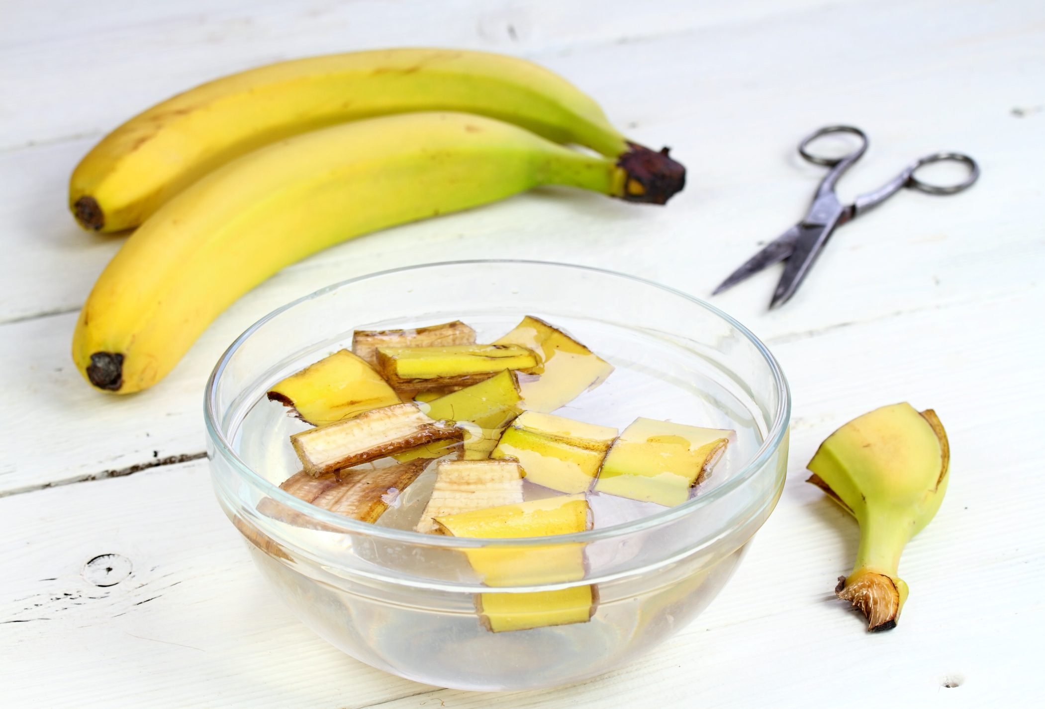 Should You Water Your Plants with a Banana Peel?