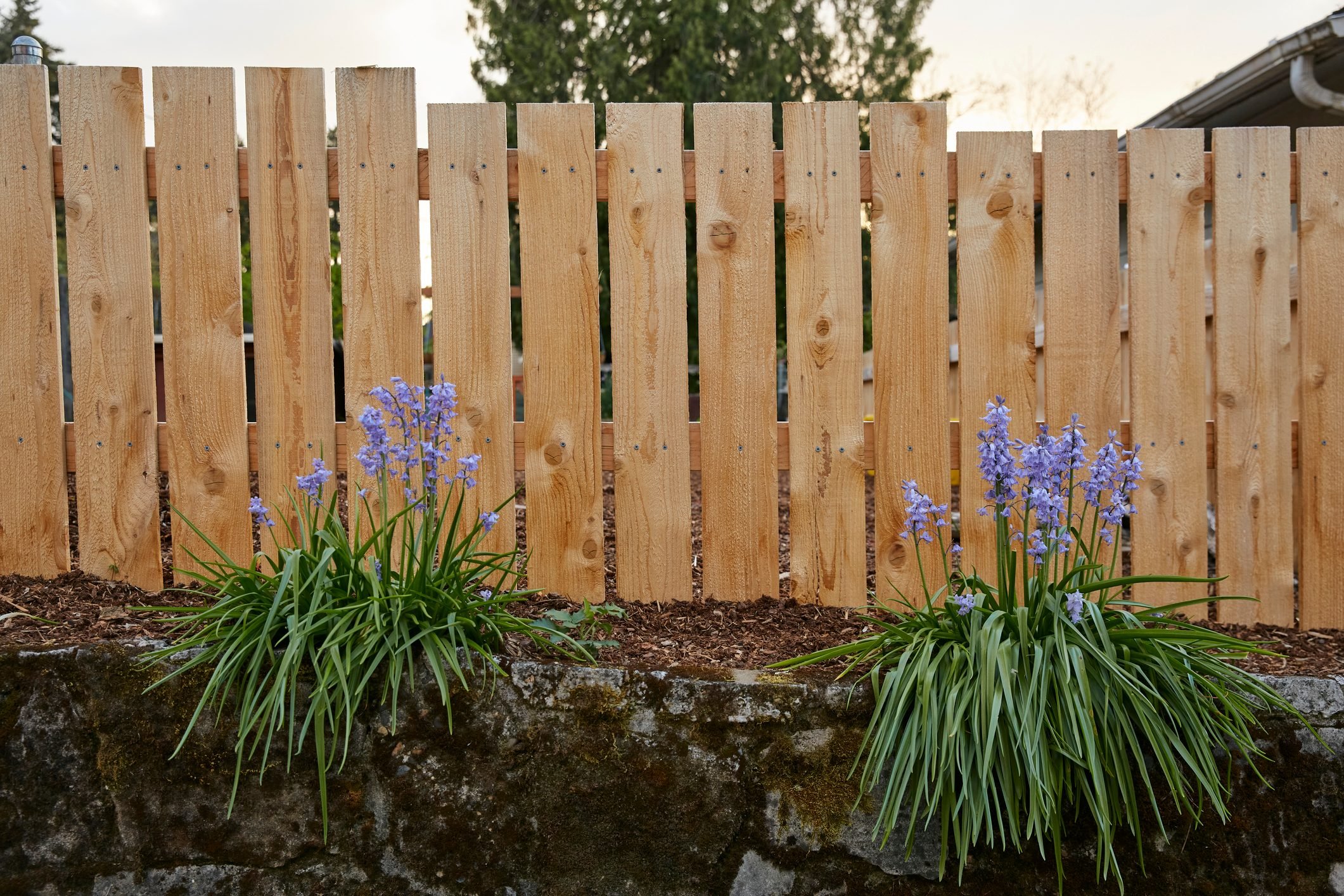 Homeowner's Guide To Different Types of Fences