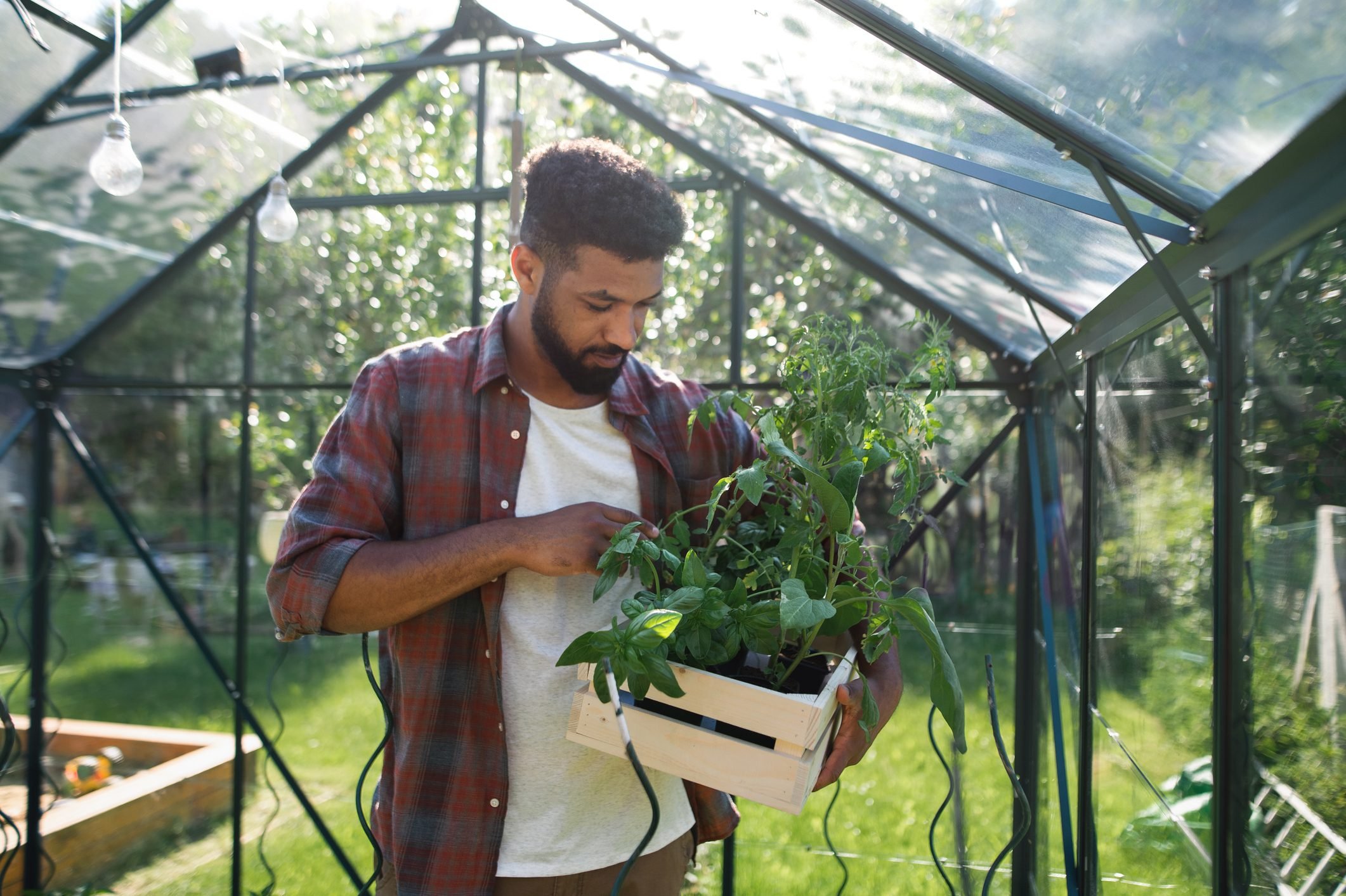 man working outdoors in backyard greenhouse