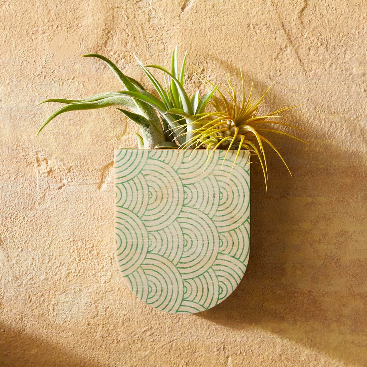 9 Best Wall Planters