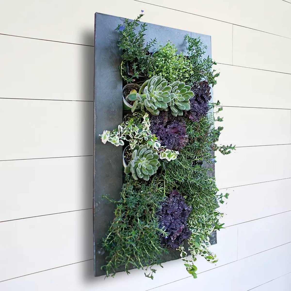 Willamette Steel Wall Planter Ecomm Wayfair.com