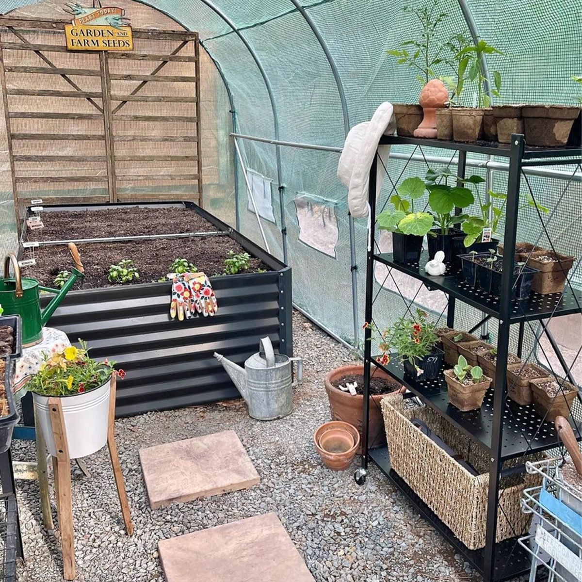 10 Greenhouse Shelving Ideas for Displaying Plants