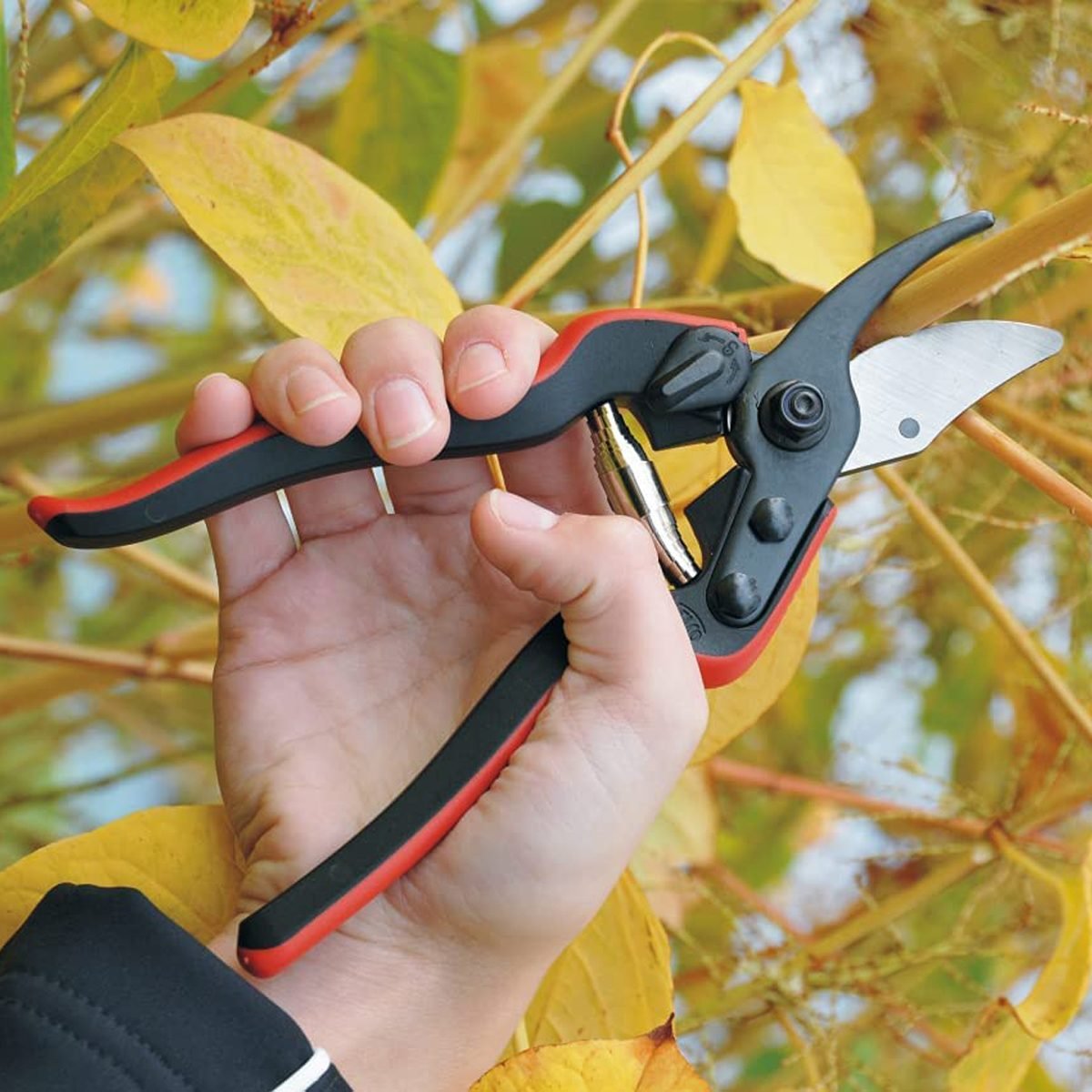 The 10 Best Pruning Shears 2024 (Real Garden Tested!)