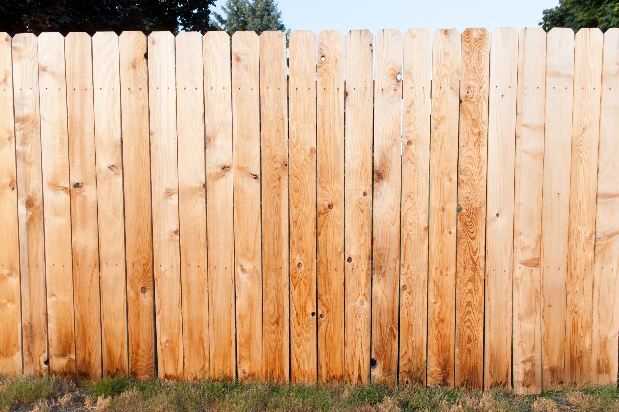 8 Popular Wood Fence Styles