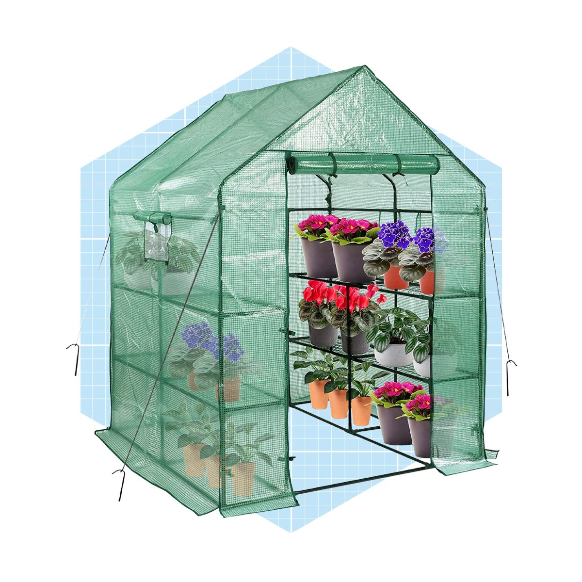 10 Greenhouse Shelving Ideas for Displaying Plants