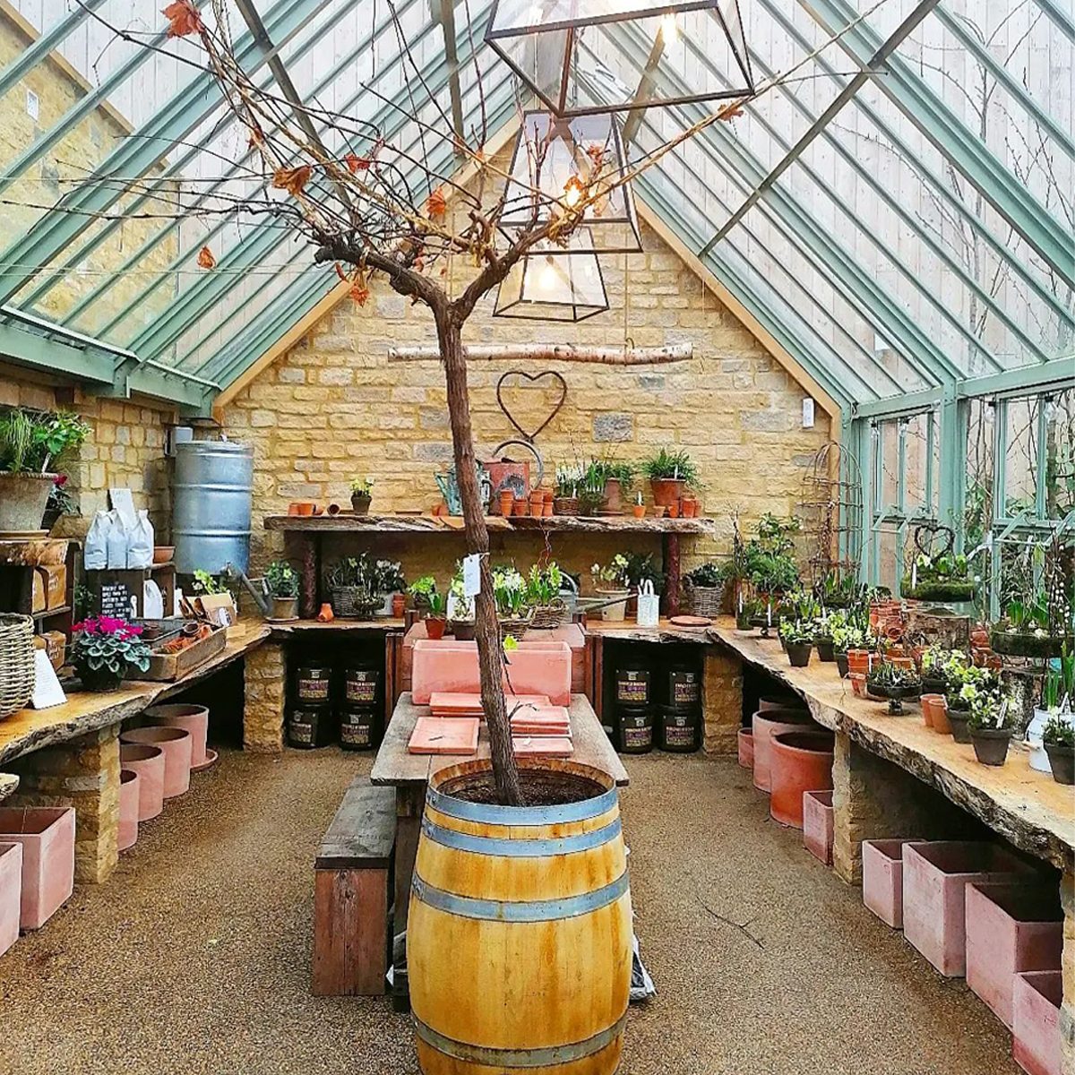 Organic Live Edge Greenhouse Shelving Courtesy @msmitch08 Via Instagram