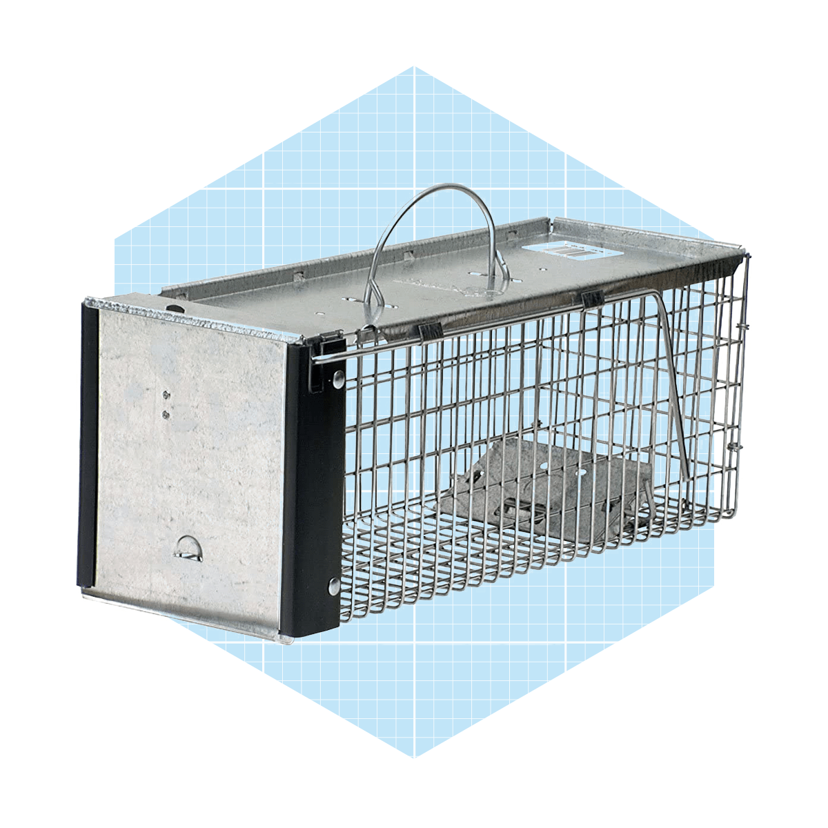 Quality Rat Trap, Humane Live Animal Mouse Cage Traps, Catch And