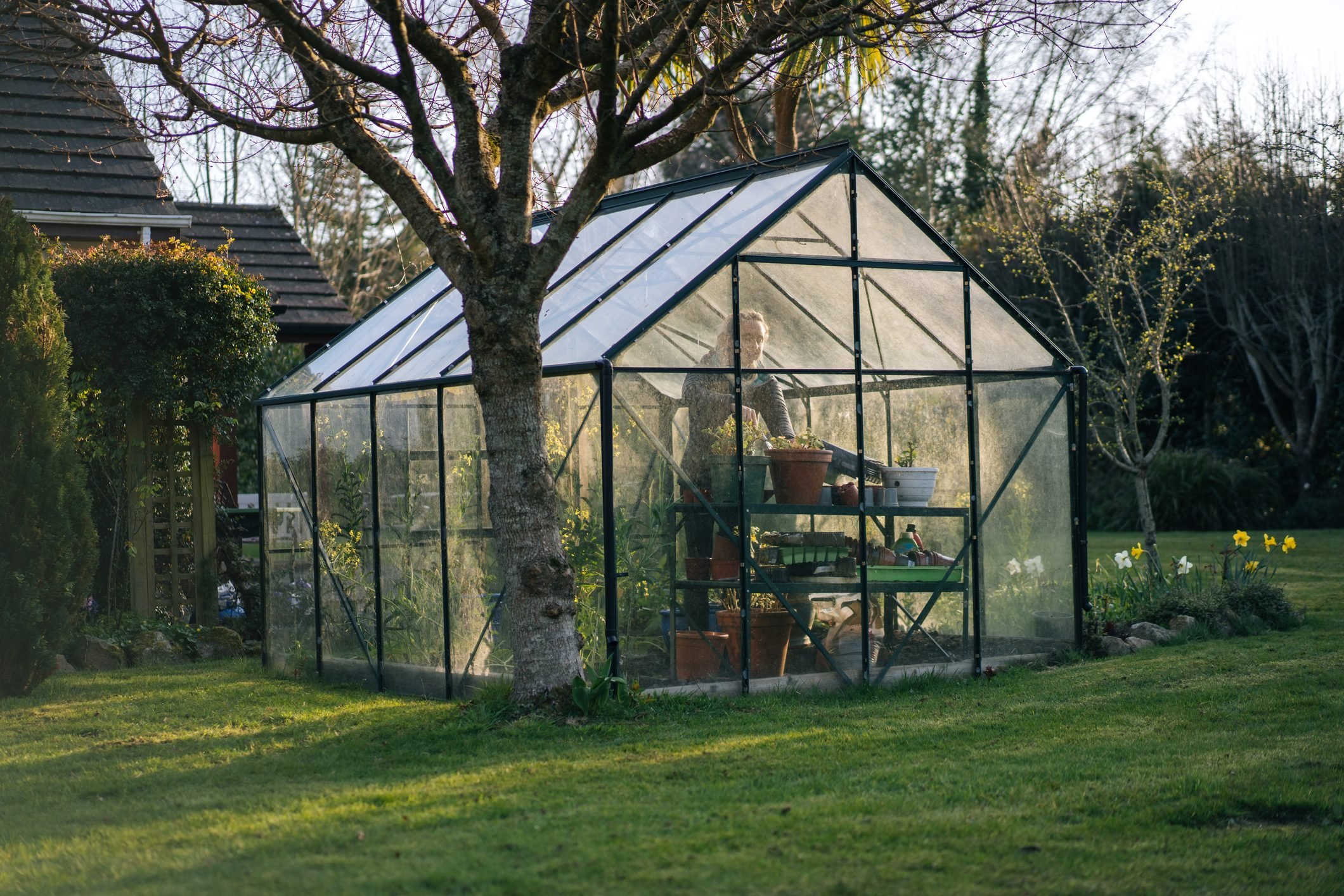 How To Choose the Best Greenhouse Materials