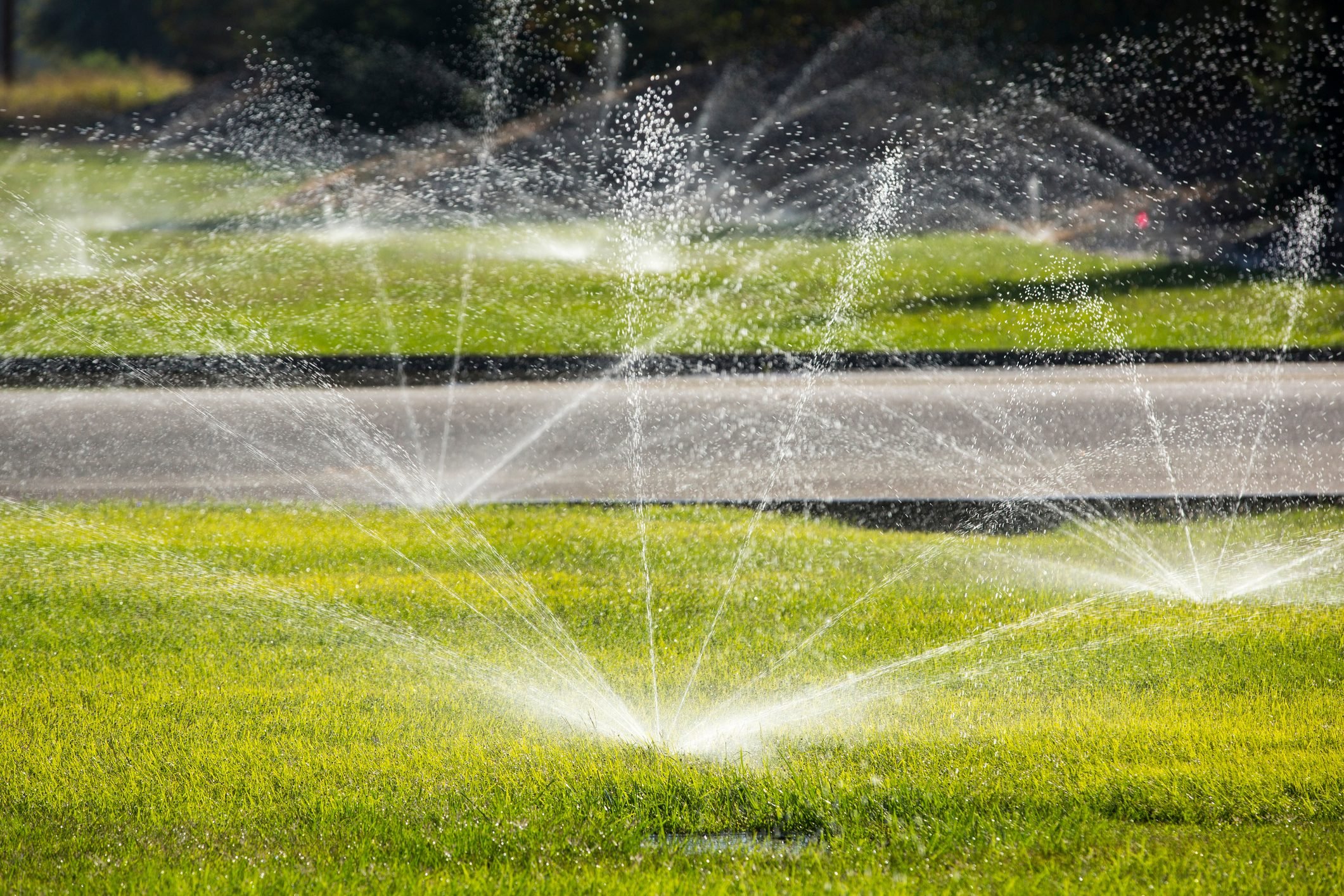 Homeowner's Guide To Irrigation Systems