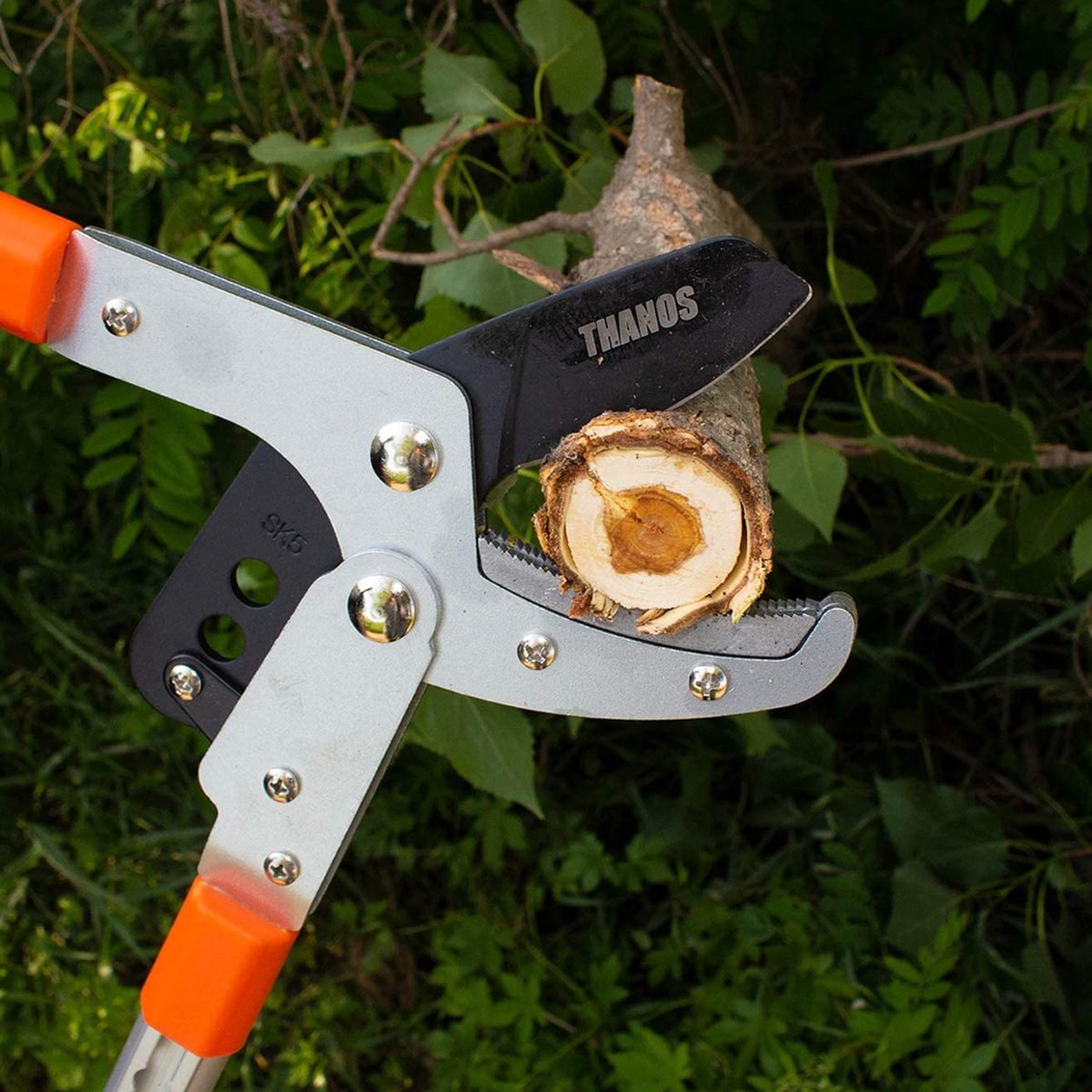 The 7 Best Loppers for Easy Tree Trimming