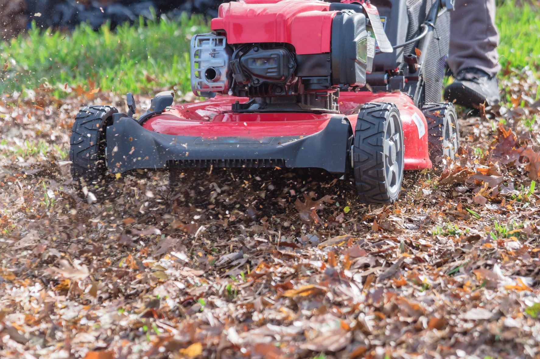Here's Why Mowing Leaves Is Better Than Raking Them