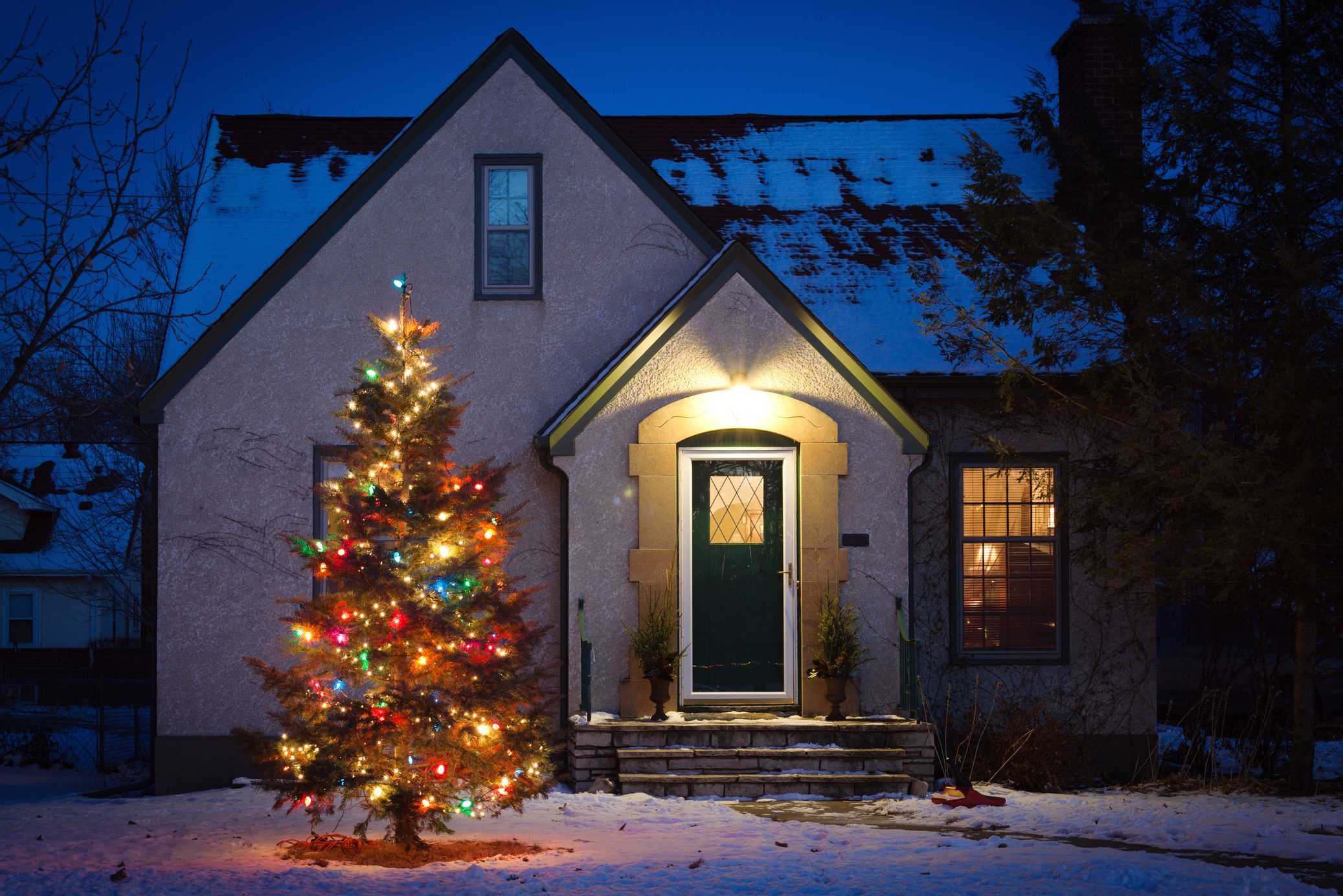 Guide To Outdoor Christmas Trees