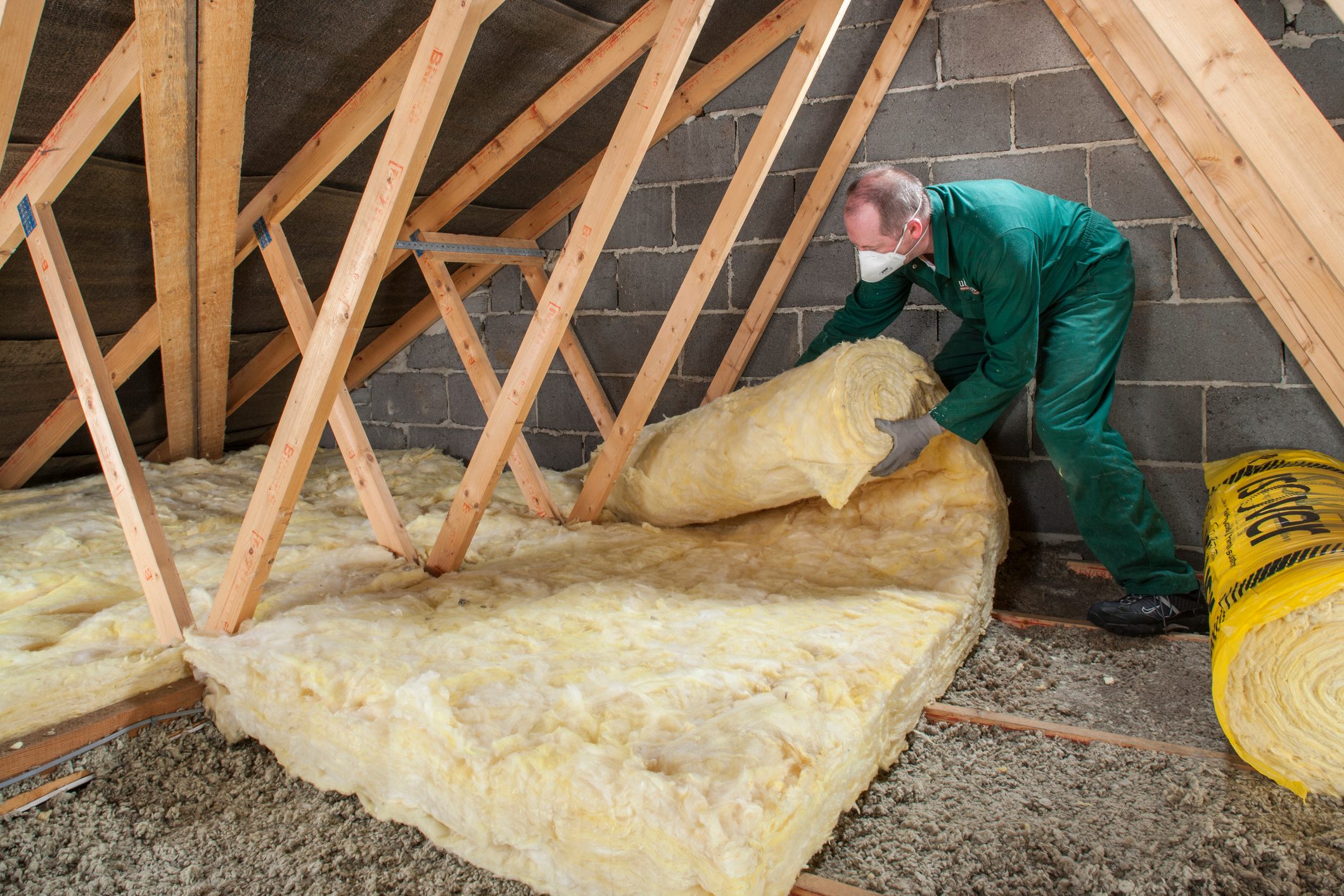 How to Get Rid of Mice in the Attic Insulation - Attic Insulation Toronto