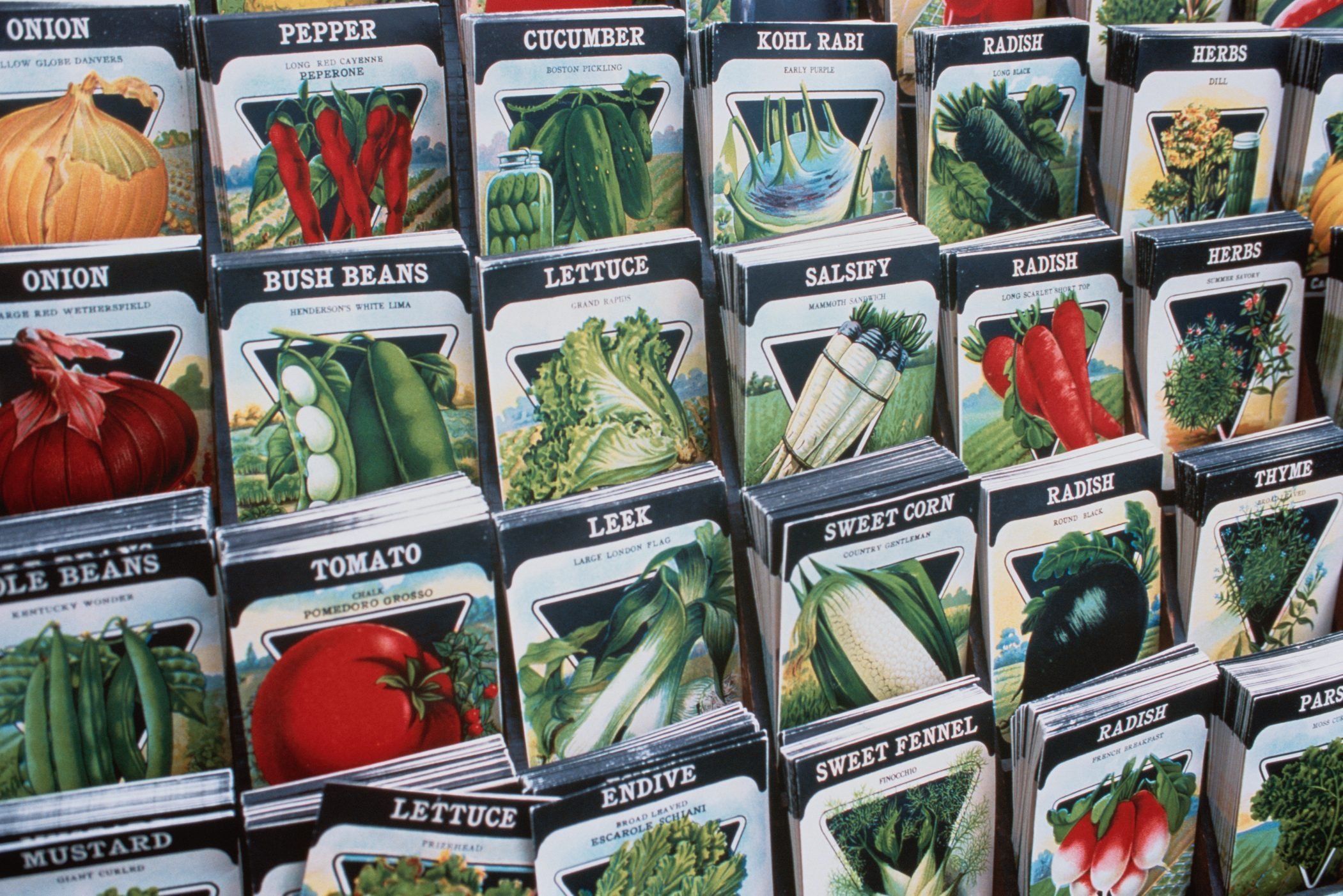 What To Know Before Buying Vegetable and Flower Seeds