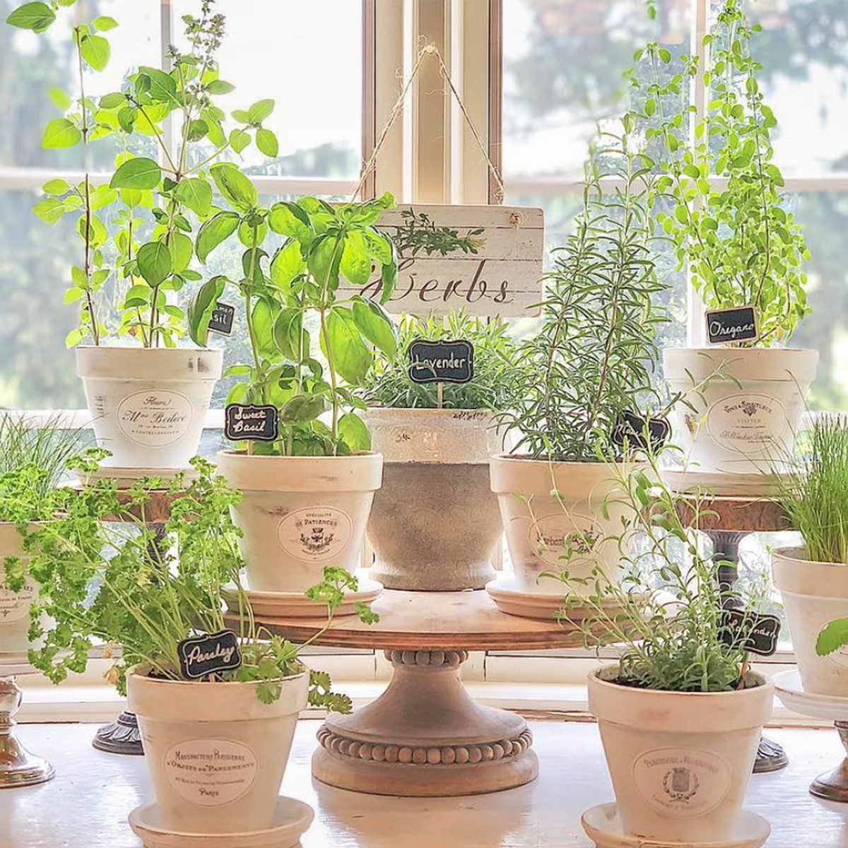 Indoor Herb Garden Ideas and Inspiration