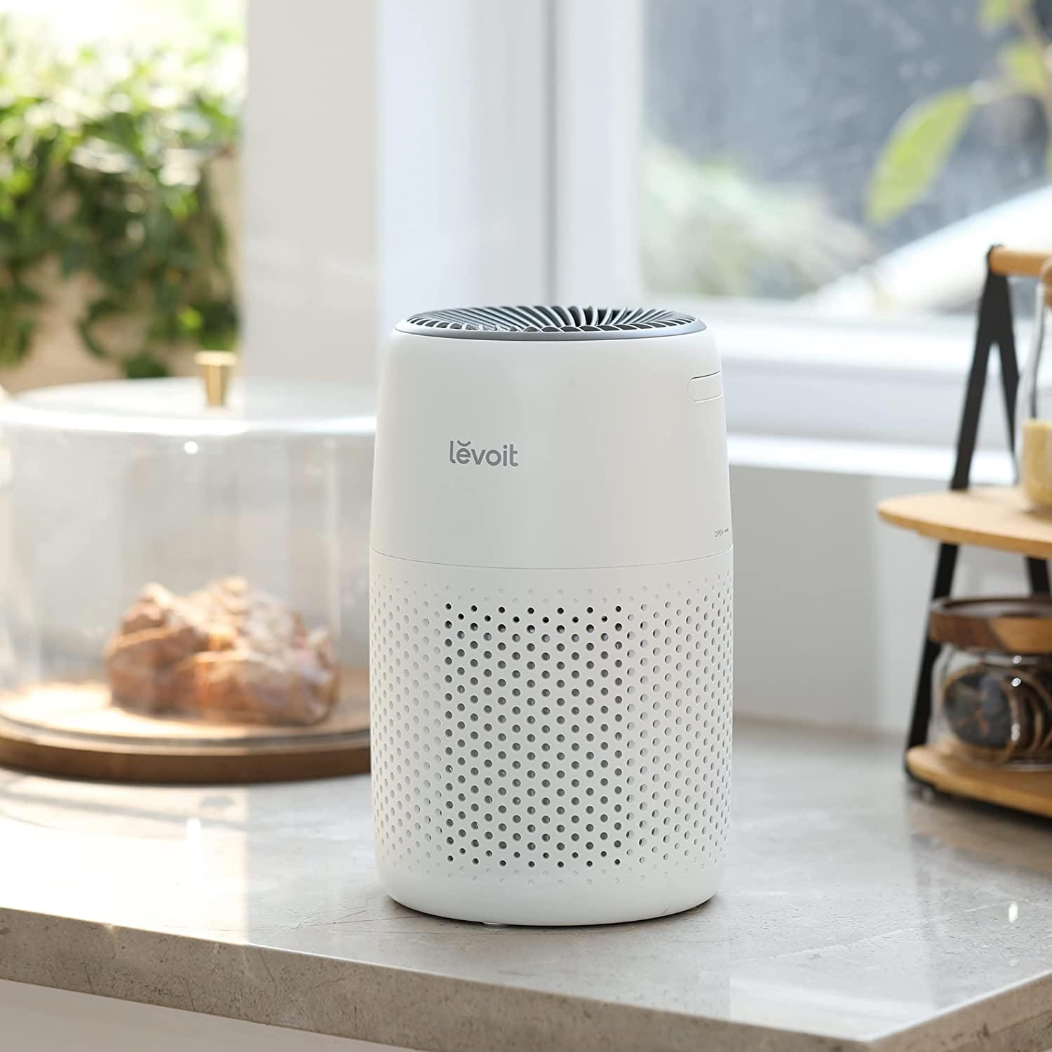 The 10 Best Air Purifiers for a Basement to Remove Dust, Allergens and Odors
