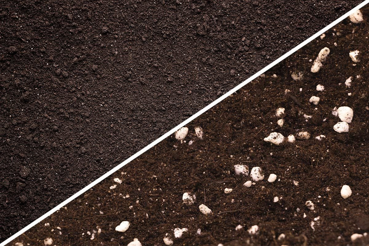 Garden Soil vs. Potting Soil: What's the Difference?