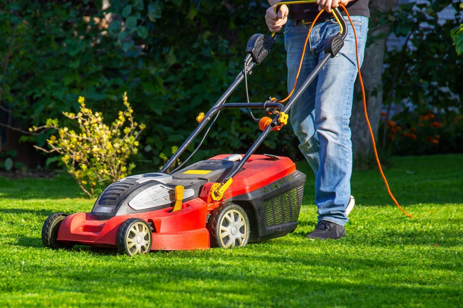 Tips for Switching To Electric Lawn Care