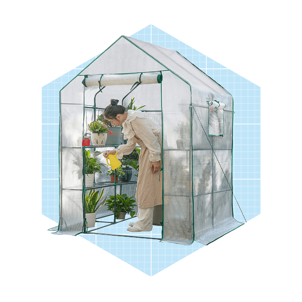 Amazon’s Affordable, Portable Greenhouse Protects Plants All Winter