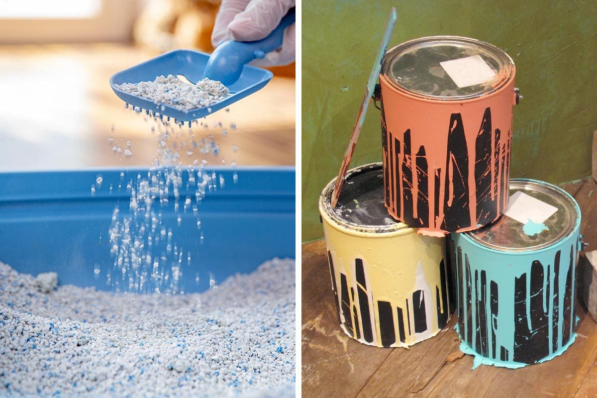 can-you-use-kitty-litter-to-get-rid-of-old-paint-cans