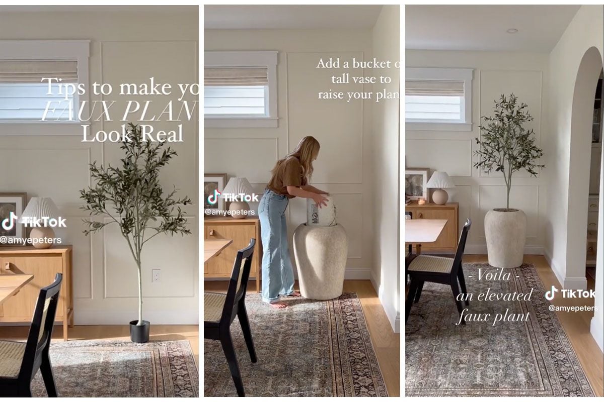 This Hack Will Instantly Elevate Your Fake House Plants