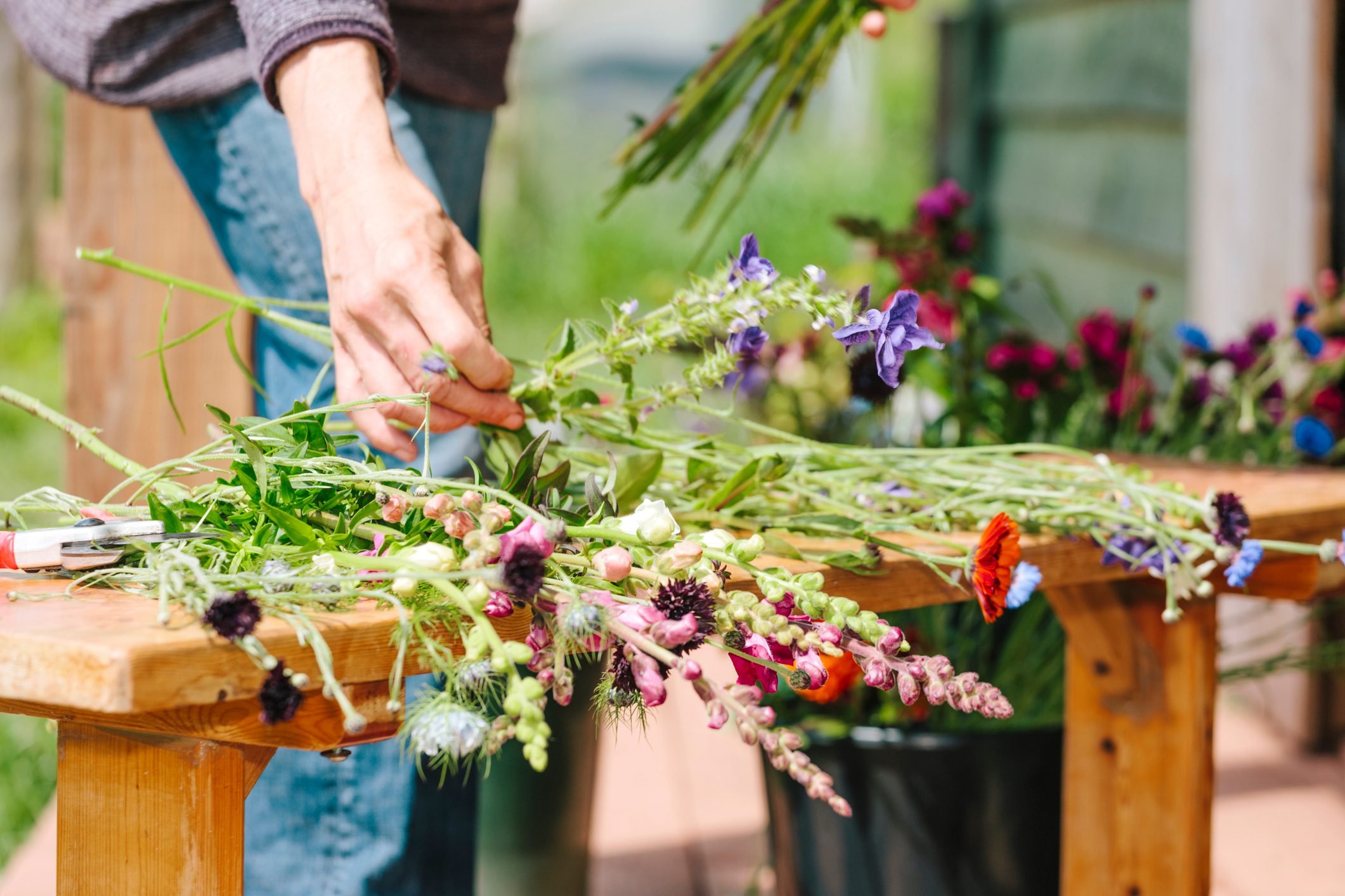 How to Grow a Cut Flower Garden