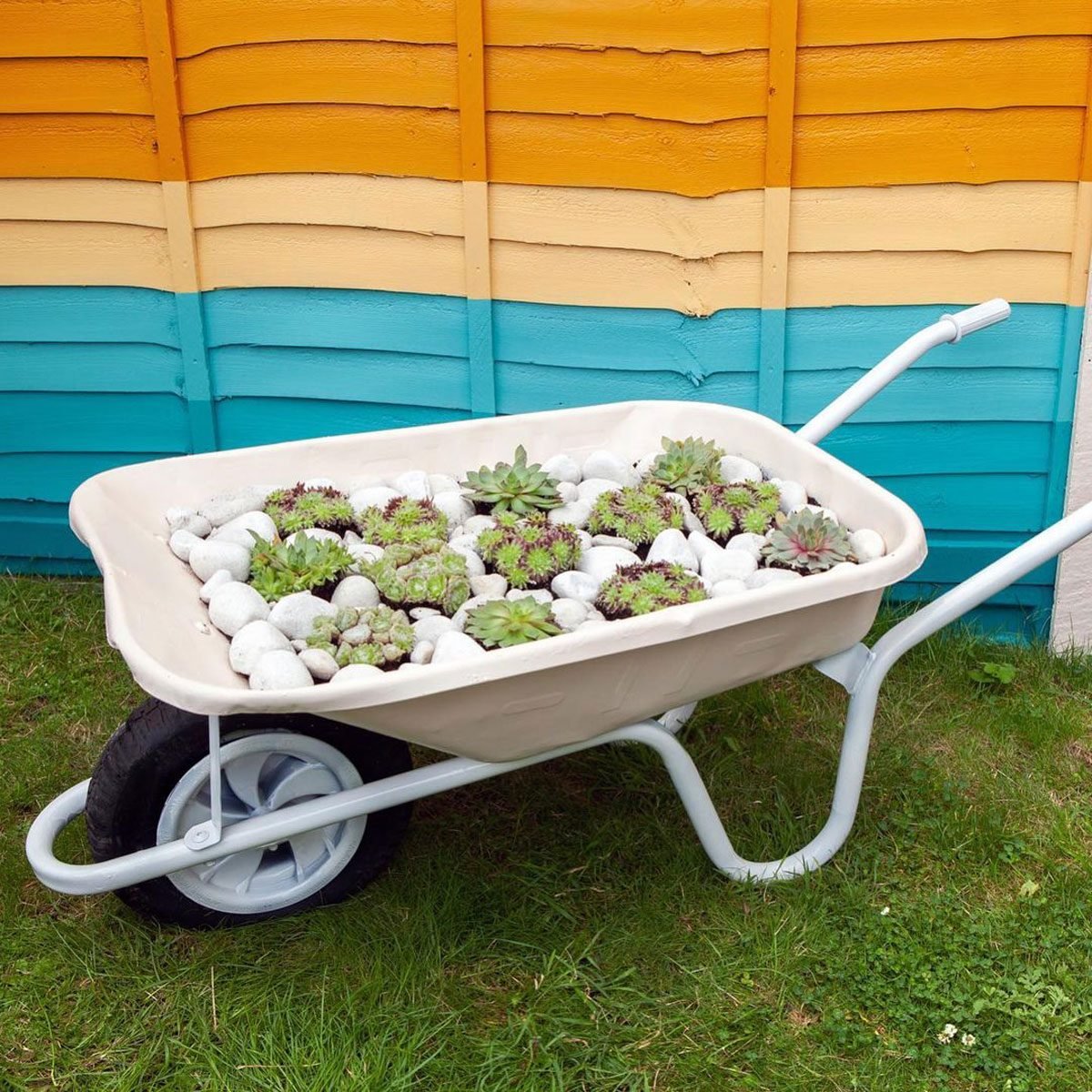 8 Wheelbarrow Planter Ideas