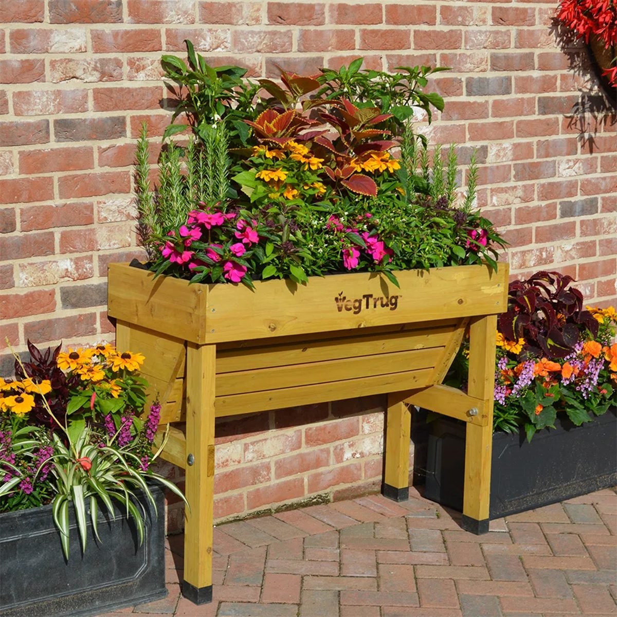 With the VegTrug Planter, You Don’t Need a Yard to Grow Fresh Veggies