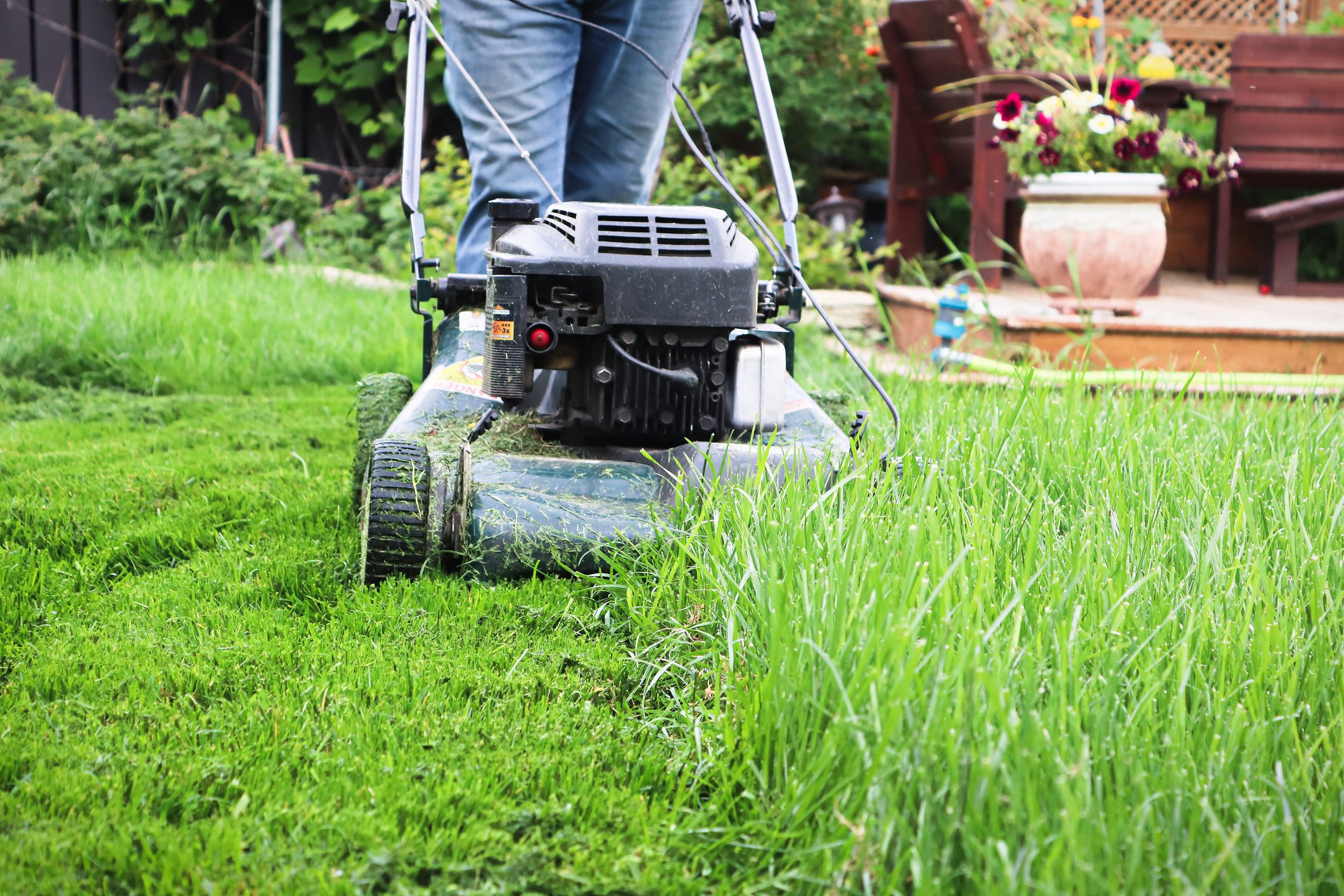 Clsoeup of a lawnmower cutting tall grass