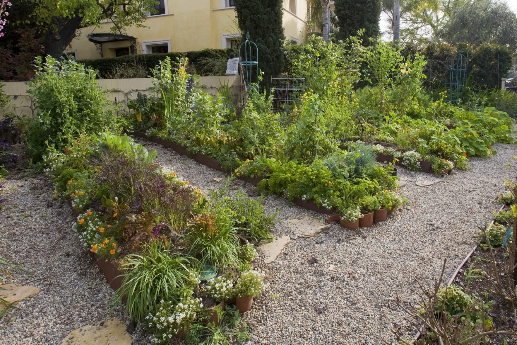 A Guide To Sustainable Gardening