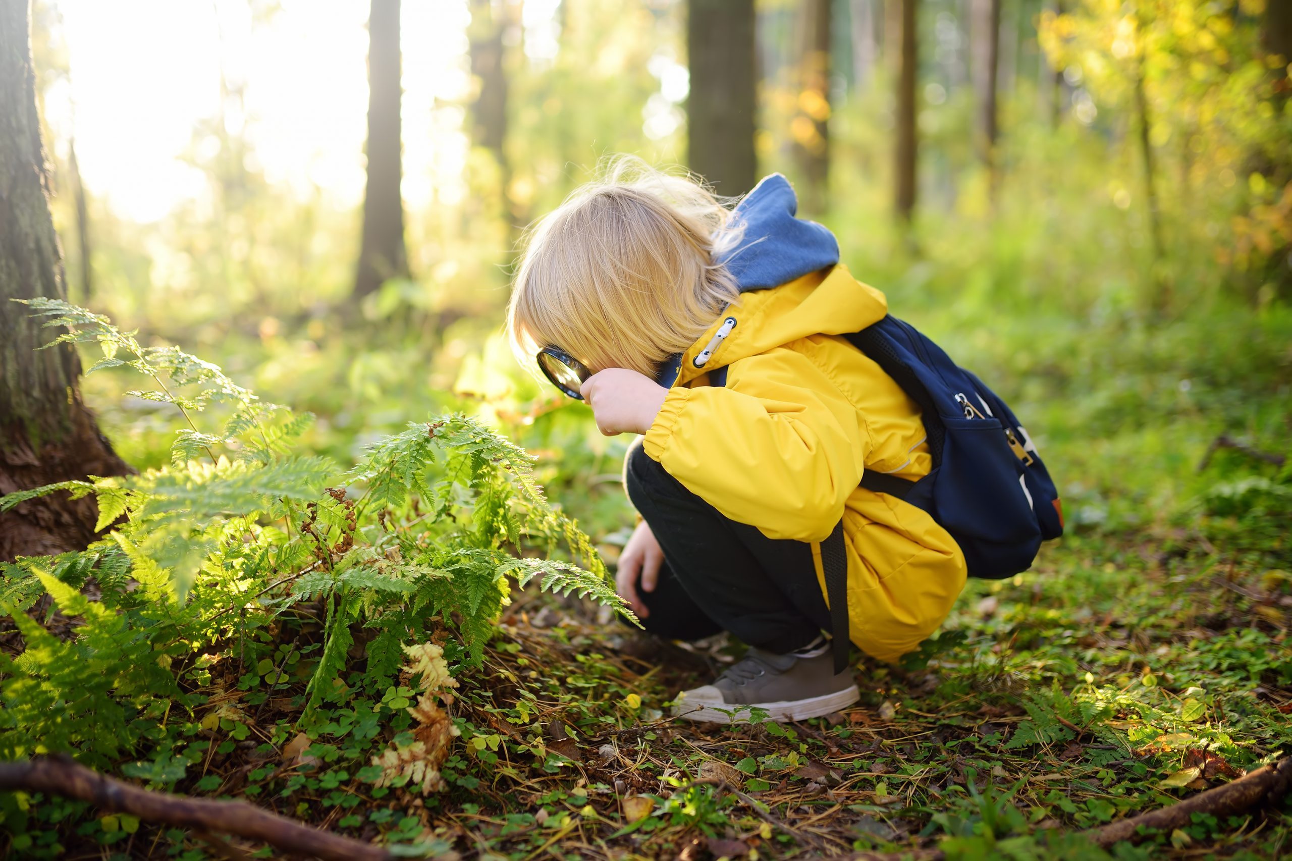 Fun Yard and Garden Games for Kids When School's Out