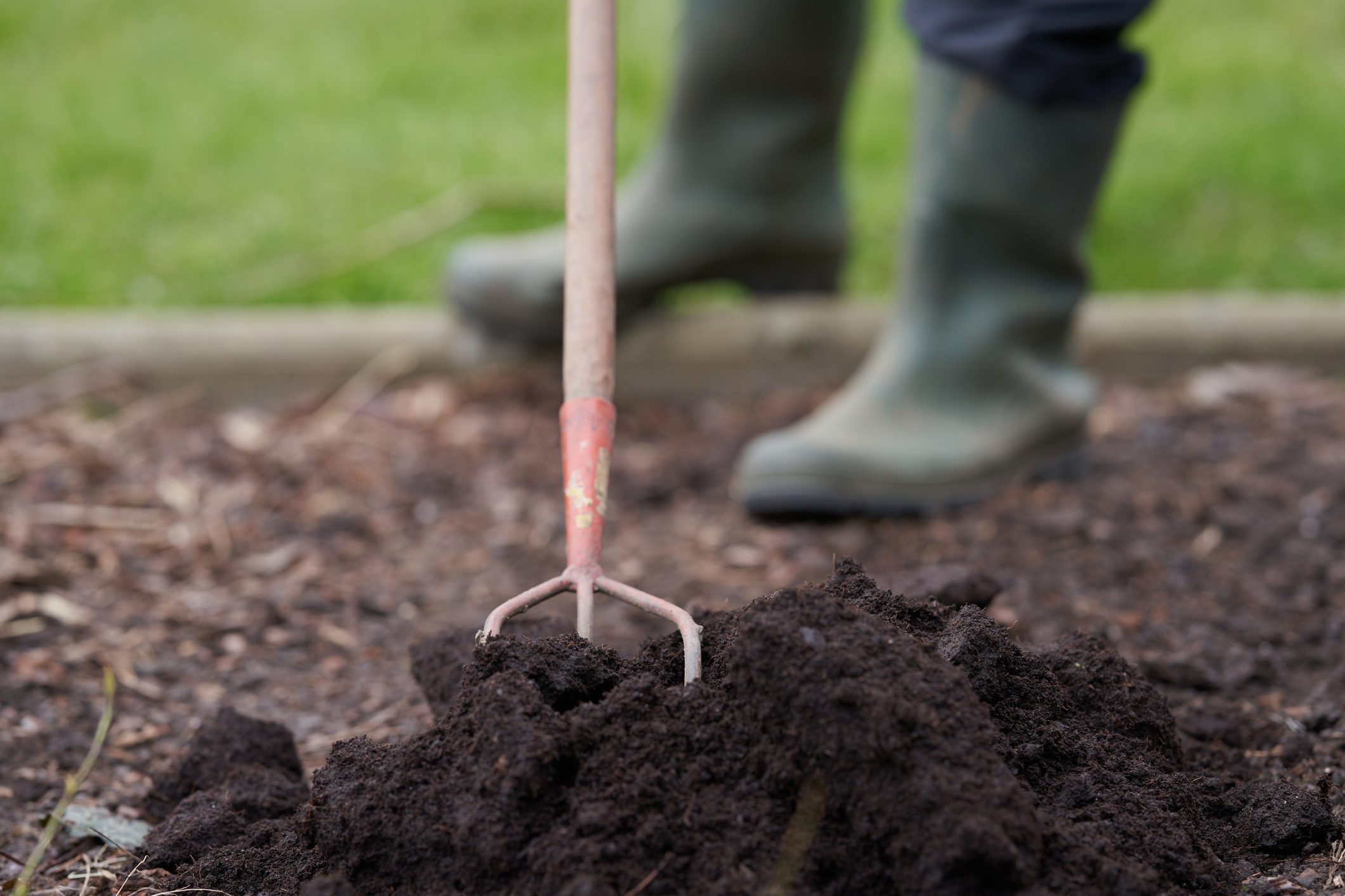 5 Best Mulches for Vegetable Gardens