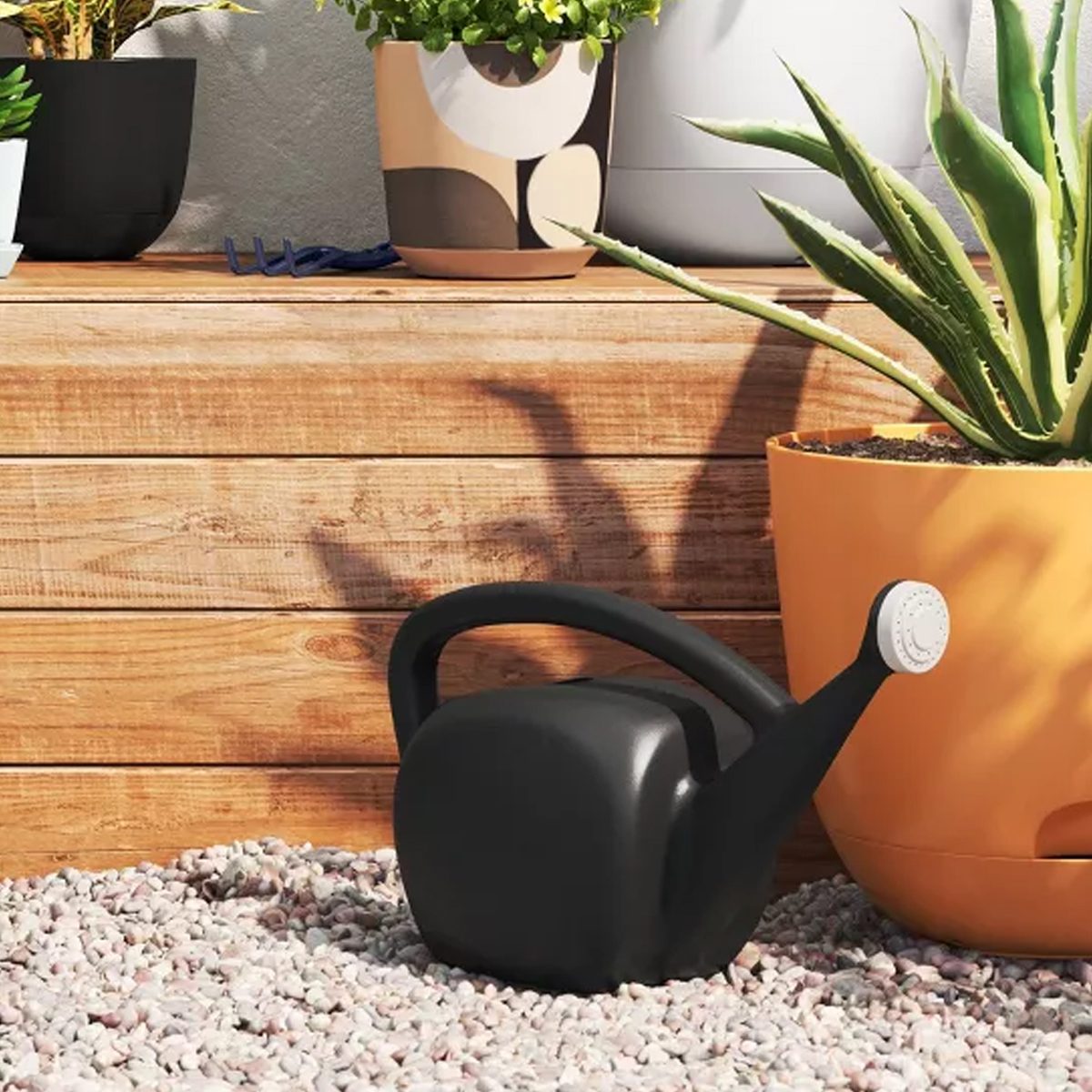 5 Best Watering Cans for Healthy Plants