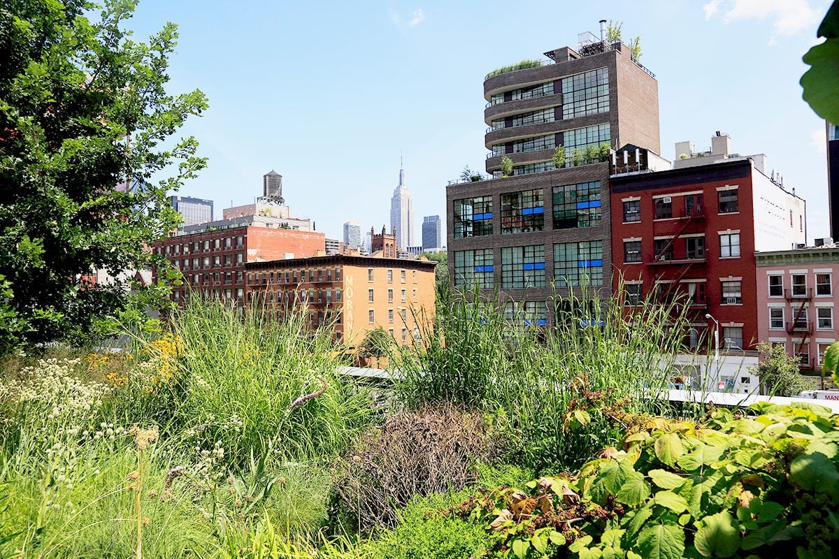 Lower West Side Urban Garden With Empire State Building in the background