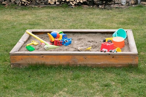 If You Have a Sandbox, You Need This Trick for Keeping Pests Out