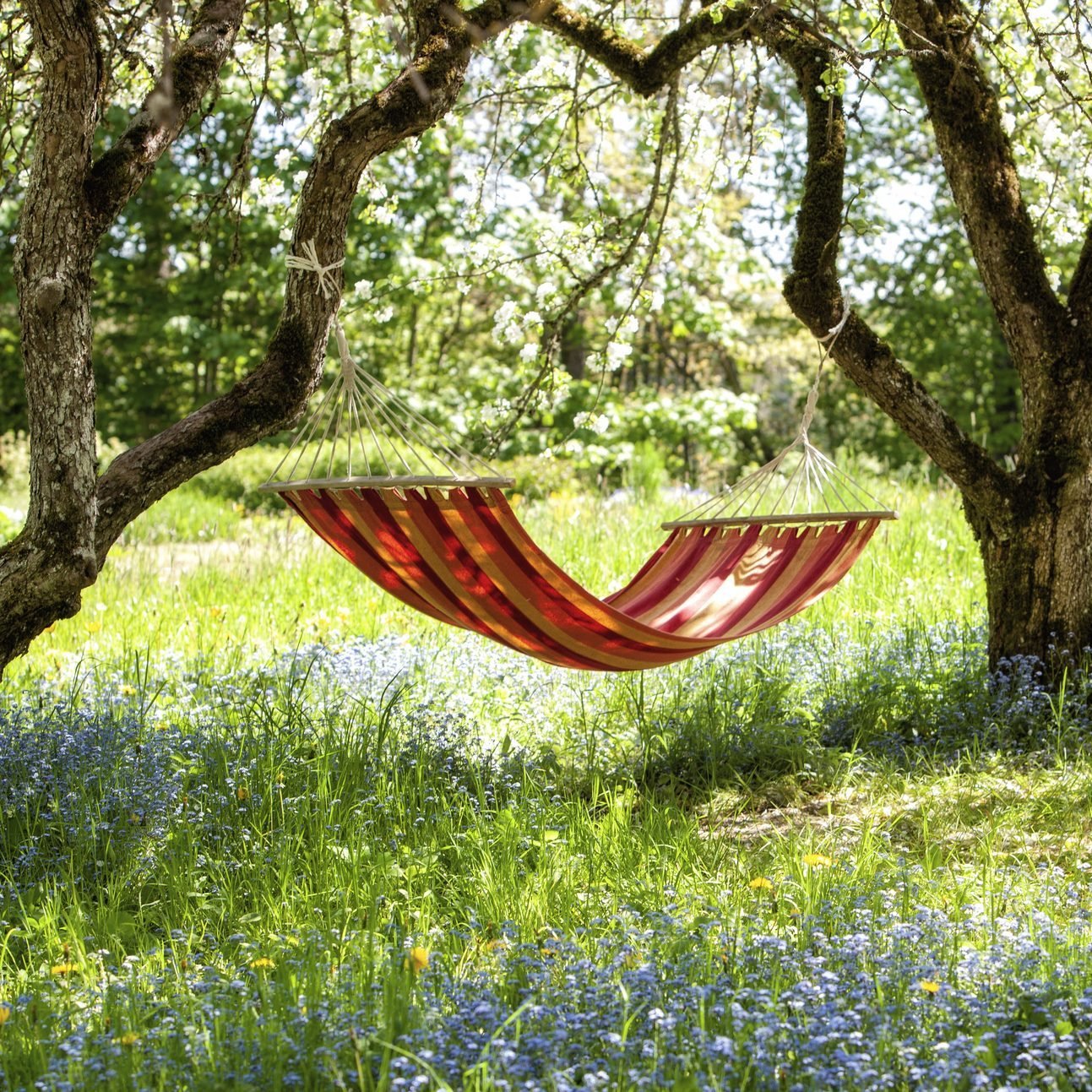 8 Best Backyard Hammocks for Peace and Relaxation