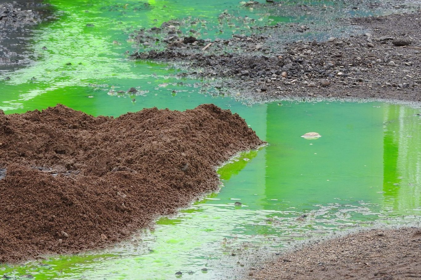 Chemical Spill near dirt