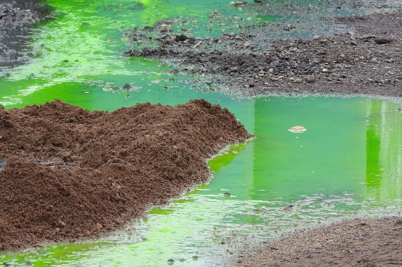 What To Know About Soil Contamination